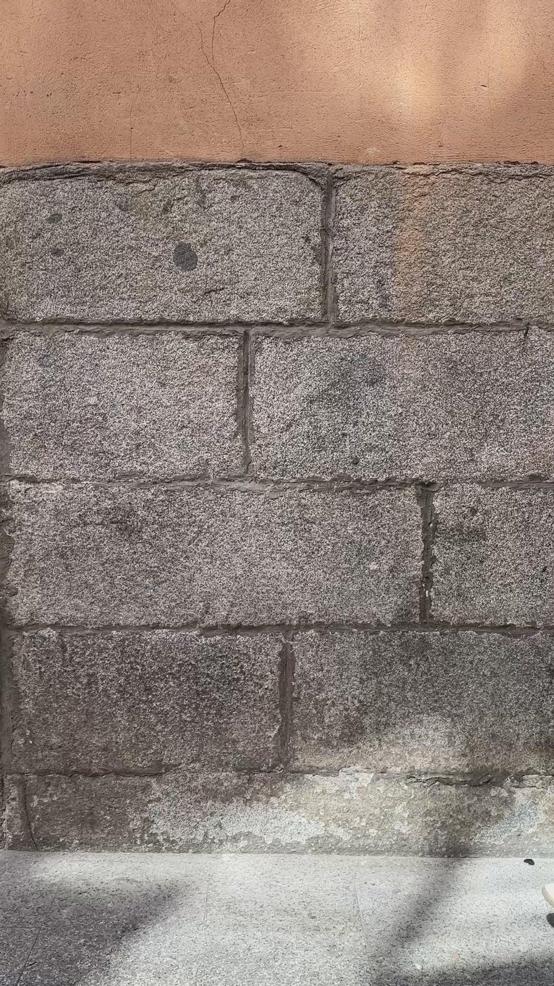 Garment Dyed Pull On Field Short In Linen Product Image