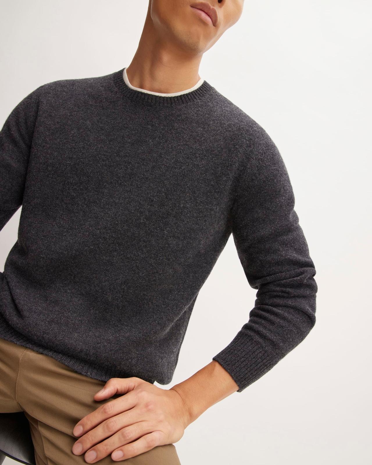 Mens Premium Merino Crew Neck Sweater by Everlane Product Image