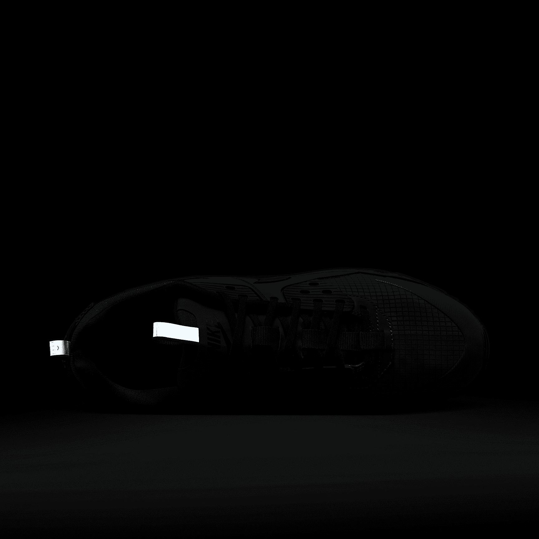 Nike Air Max 90 Drift Men's Shoes Product Image