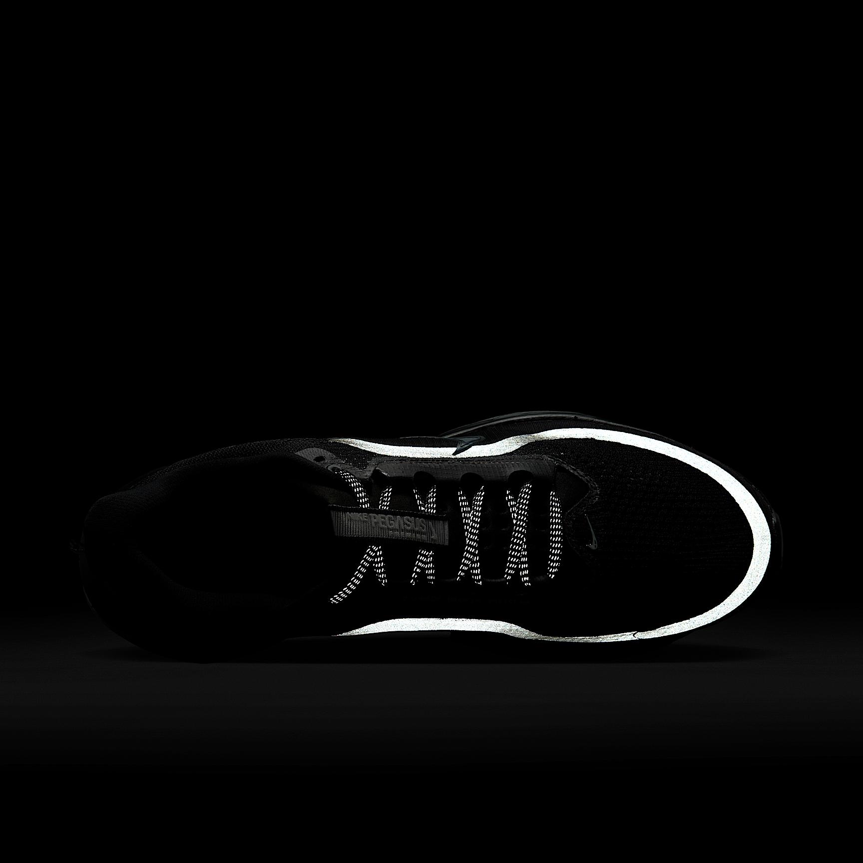 Nike Mens Pegasus Premium Road Running Shoes | HQ2592-301 Product Image