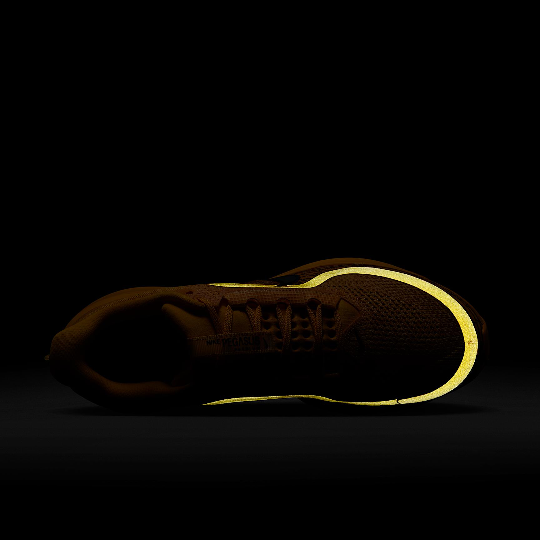 Nike Mens Pegasus Premium LV Road Running Shoes | IH3256-700 Product Image