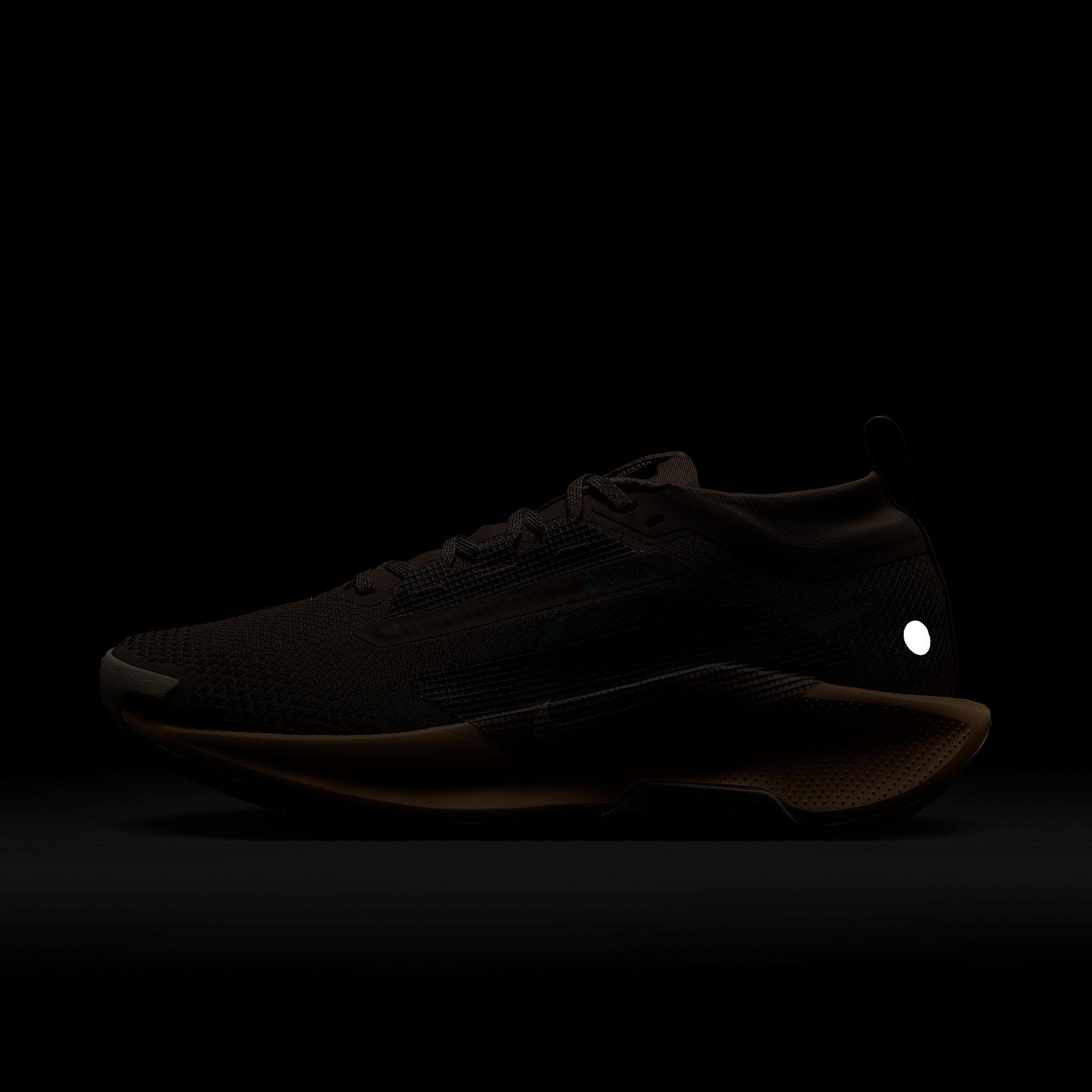 Nike Womens Pegasus Trail 5 GORE-TEX Waterproof Trail Running Shoes | FQ0912-200 Product Image