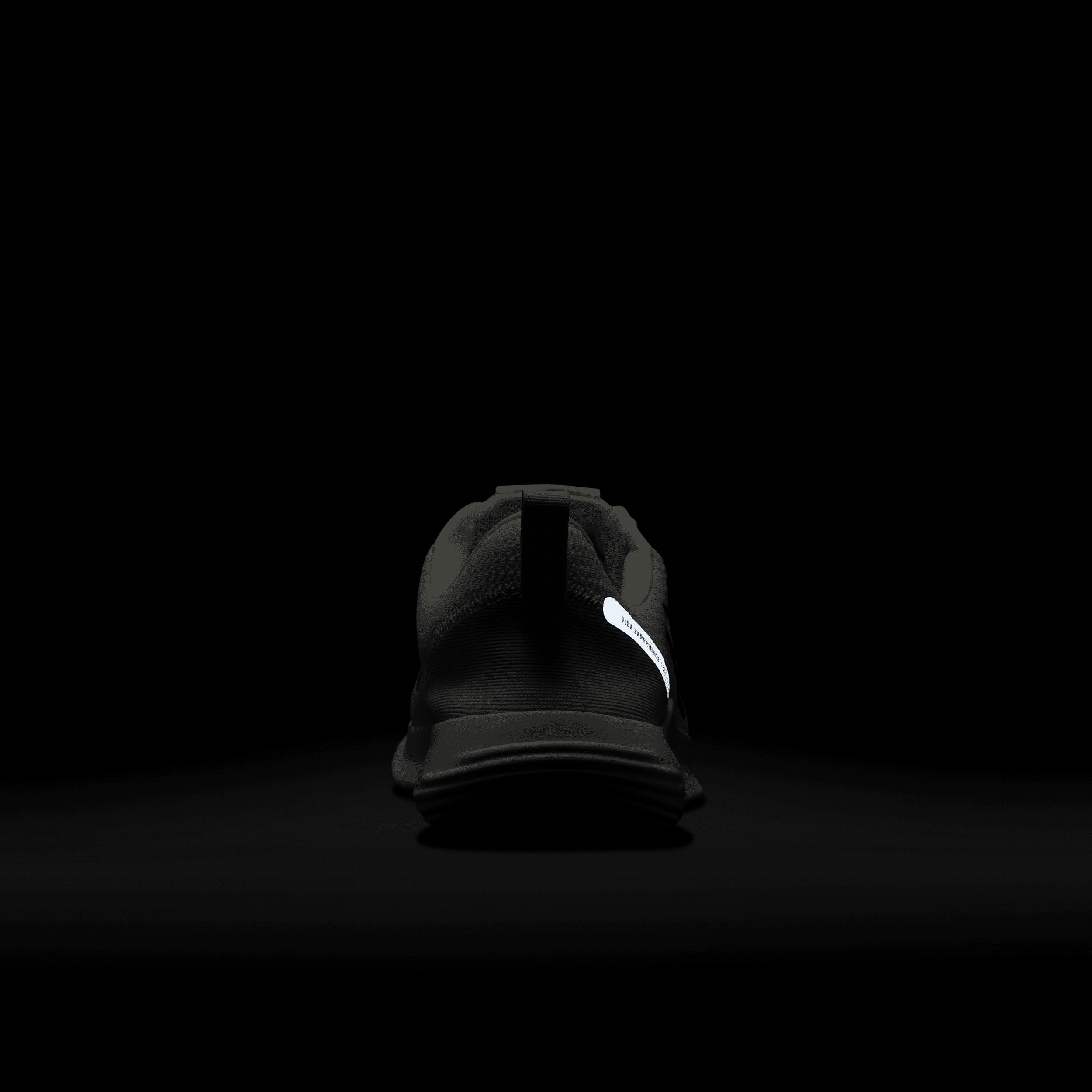 Nike Mens Flex Experience Run 12 Road Running Shoes | DV0740-103 Product Image