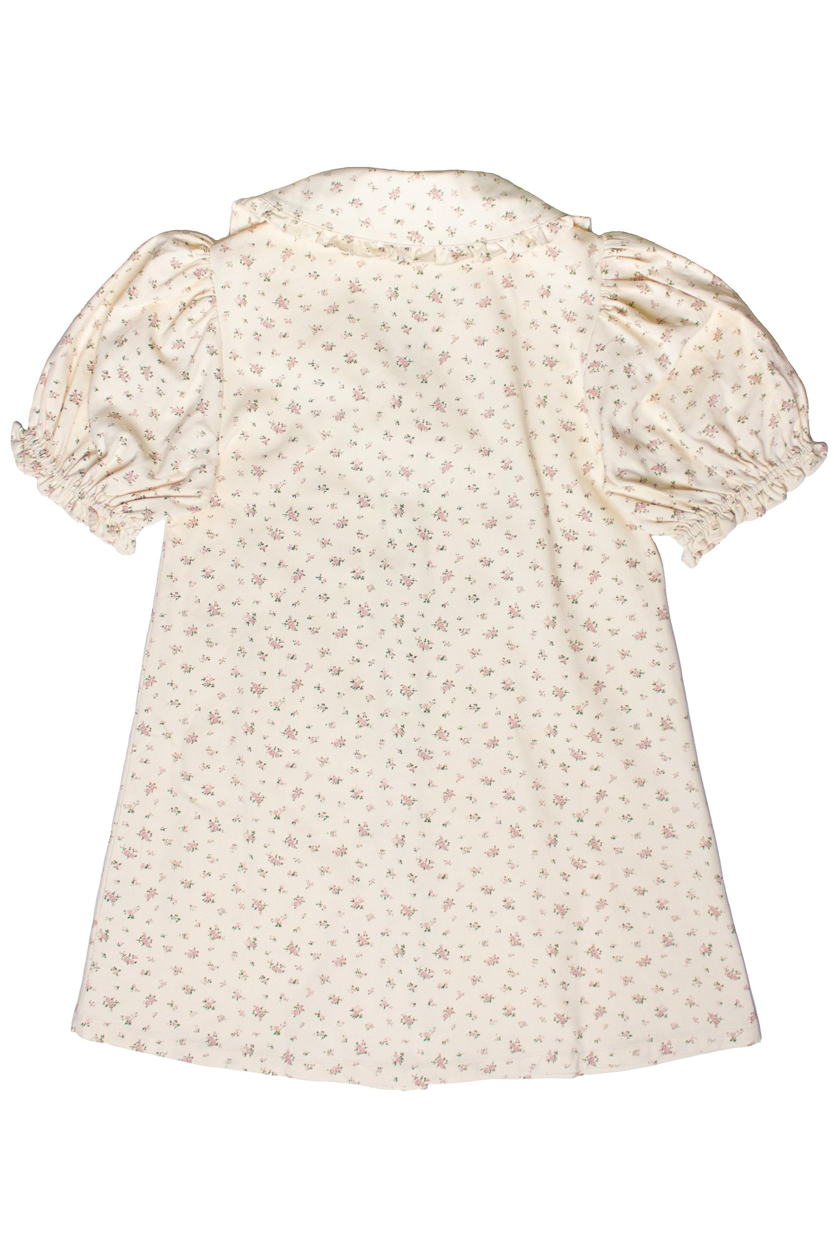Floral Peter Pan Collar Denim Dress Product Image