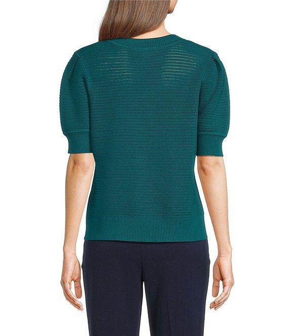 Investments Petite Size Novelty Short Sleeve Crew Neck Sweater Top Product Image