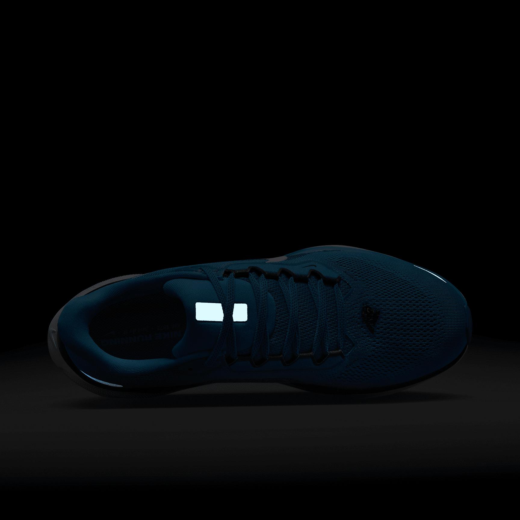 Womens Nike Pegasus 41 Running Shoes Product Image