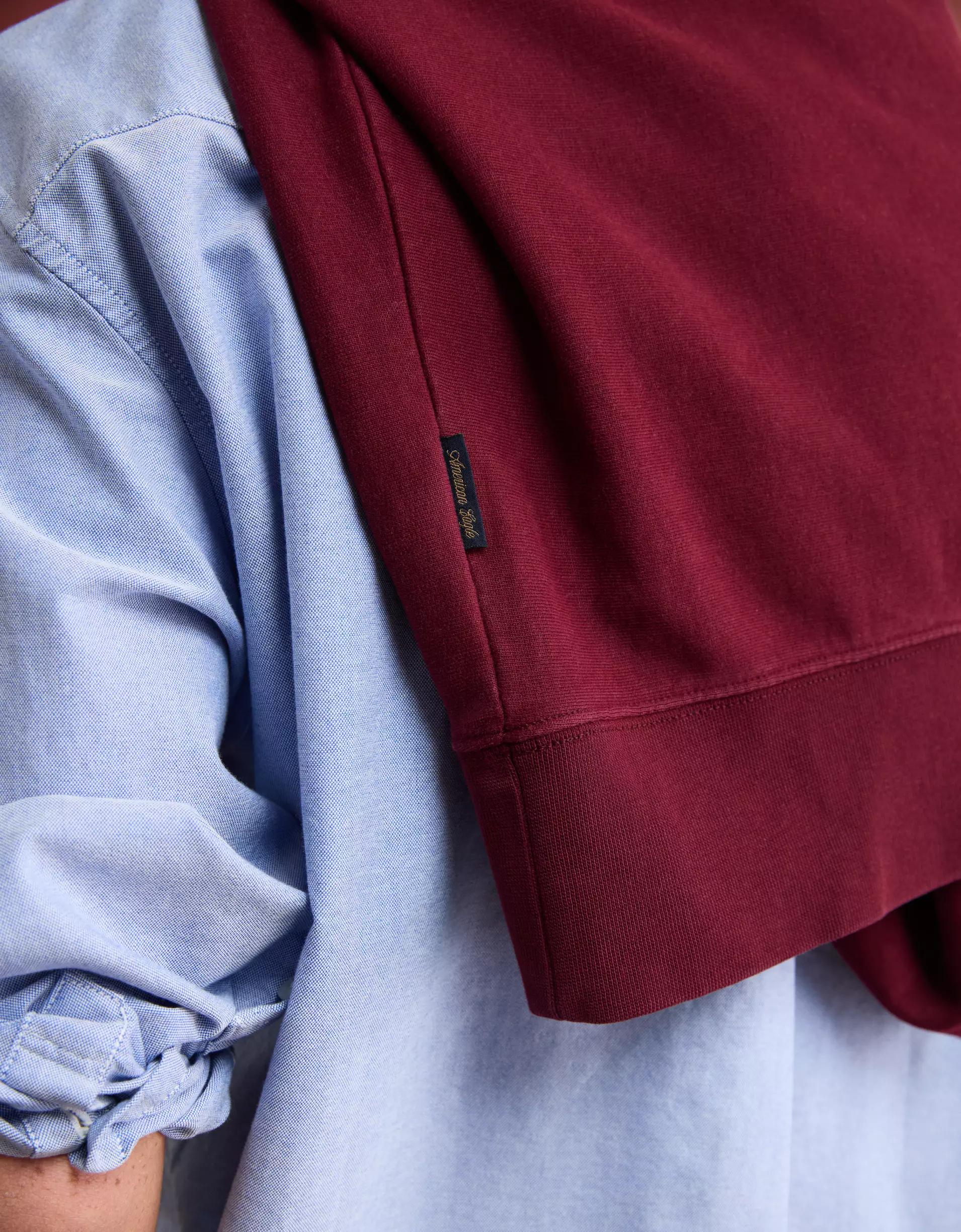 AE Laidback Luxe Heavyweight Graphic Hoodie Product Image