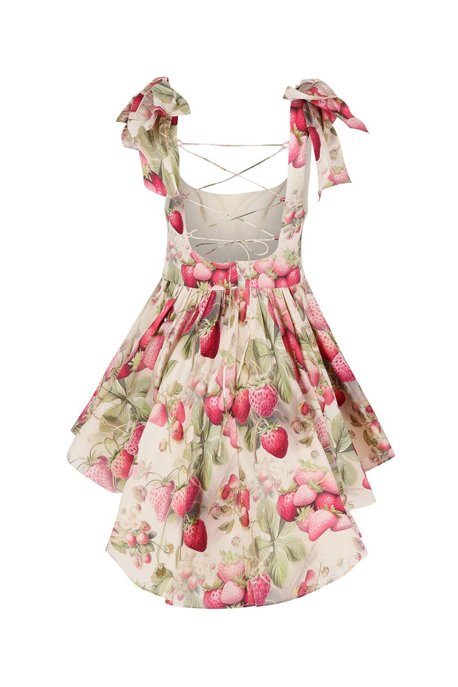 The Strawberry Cream Farmers Market Dress Product Image