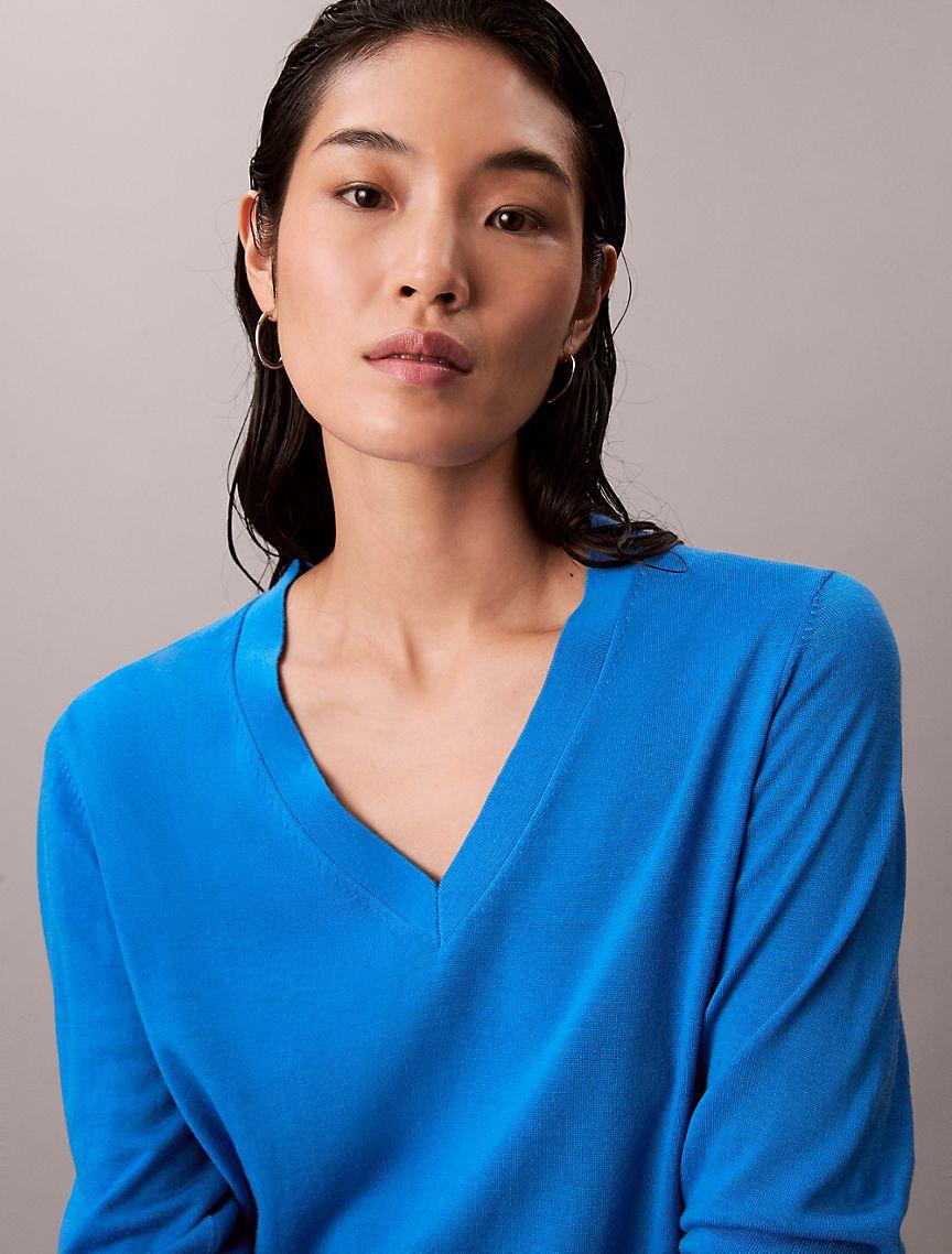 Merino Wool V-Neck Sweater Product Image