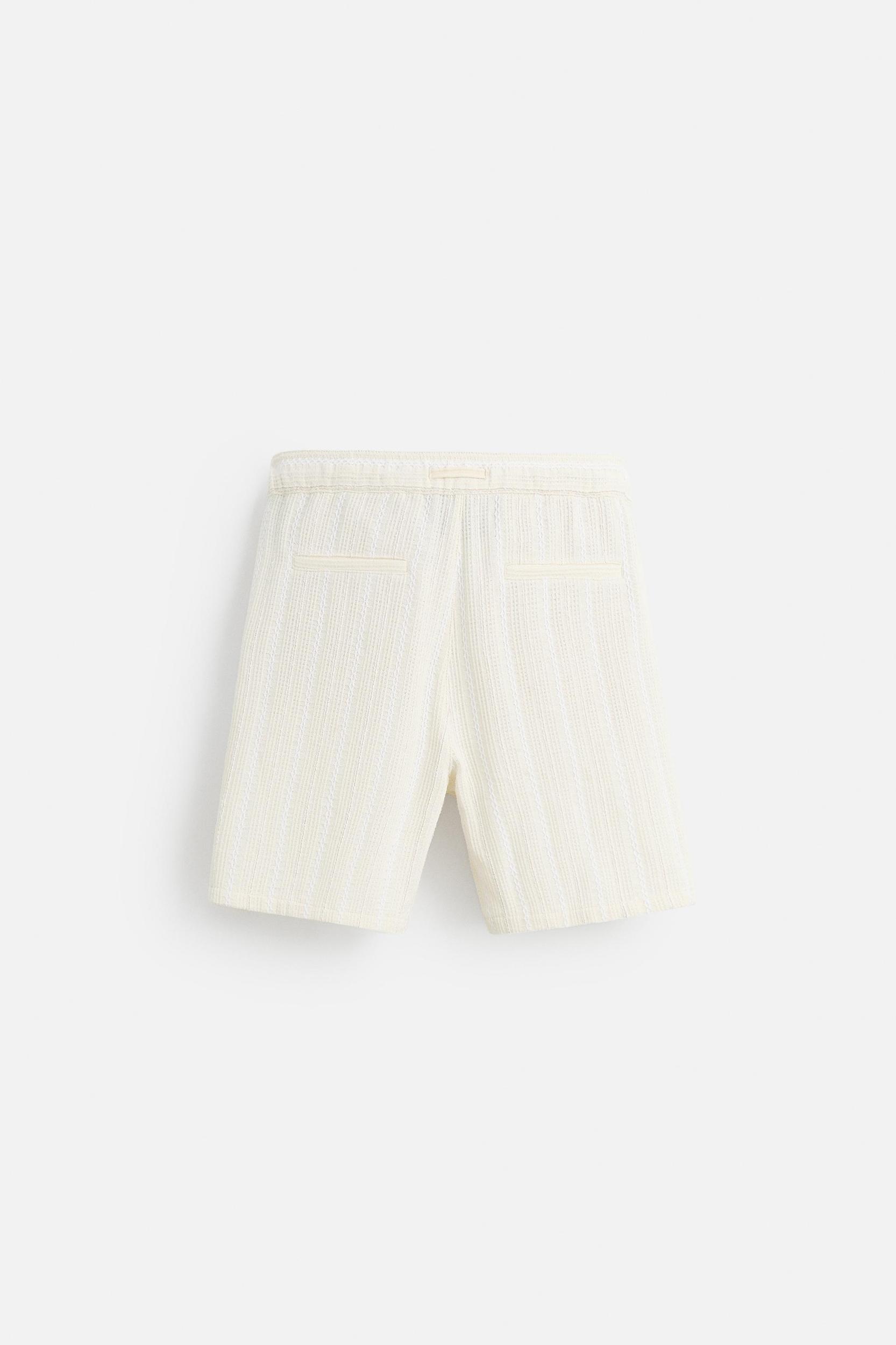 TEXTURED STRIPED SHORTS Product Image