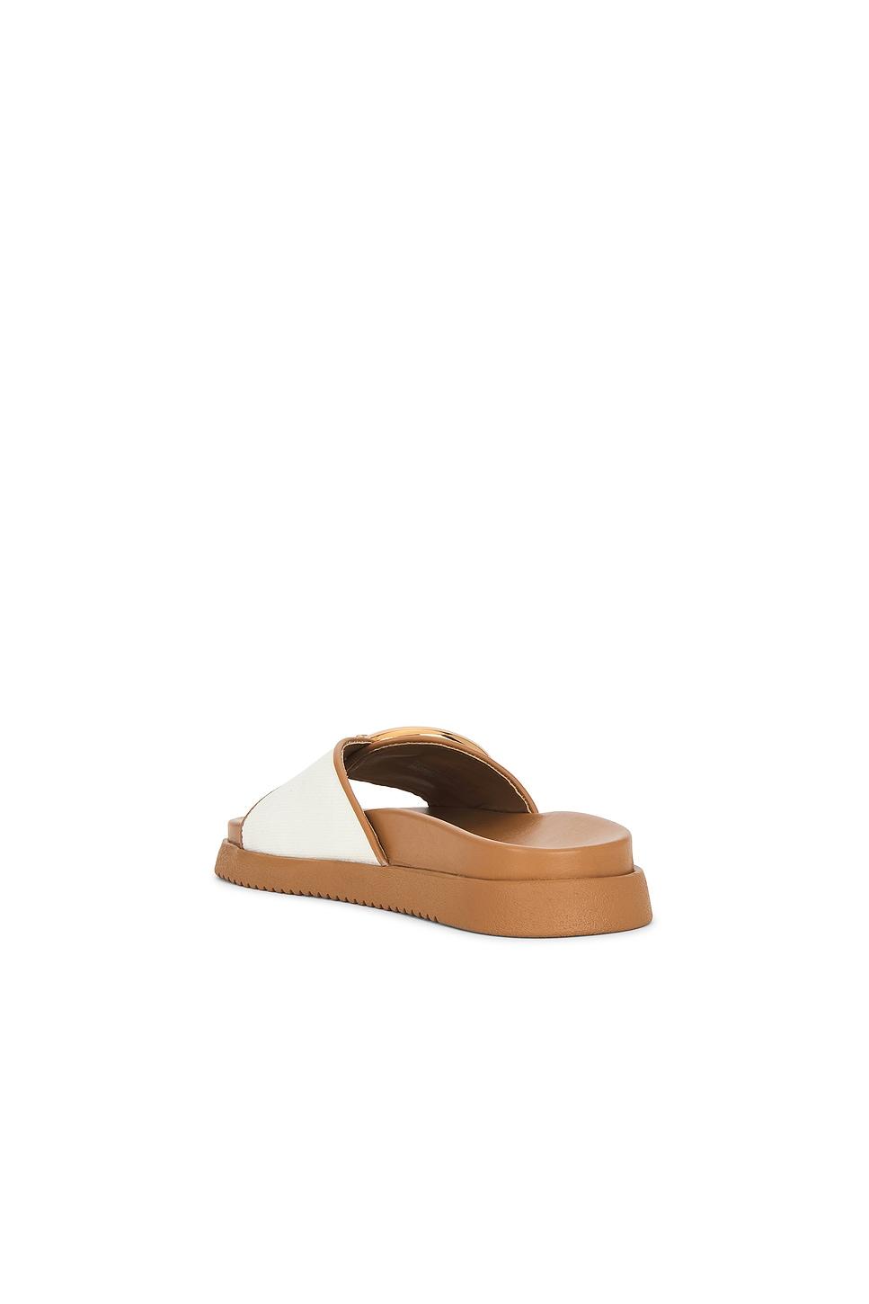 Mandie Slides Steve Madden Product Image