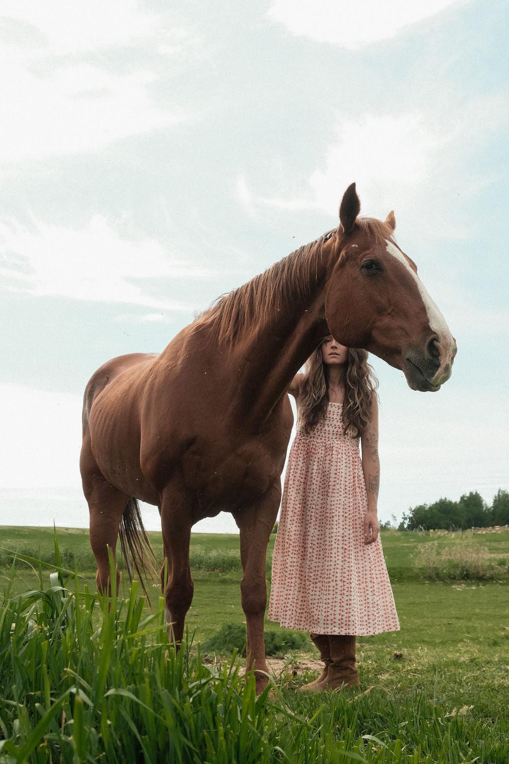 The Erica Dee dee SunDress Product Image