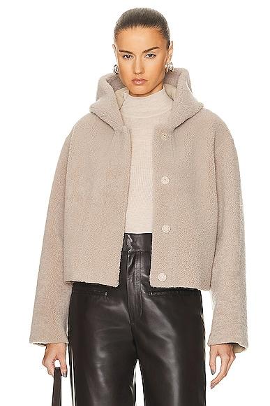 Cooper Cropped Light Shearling Jacket Product Image