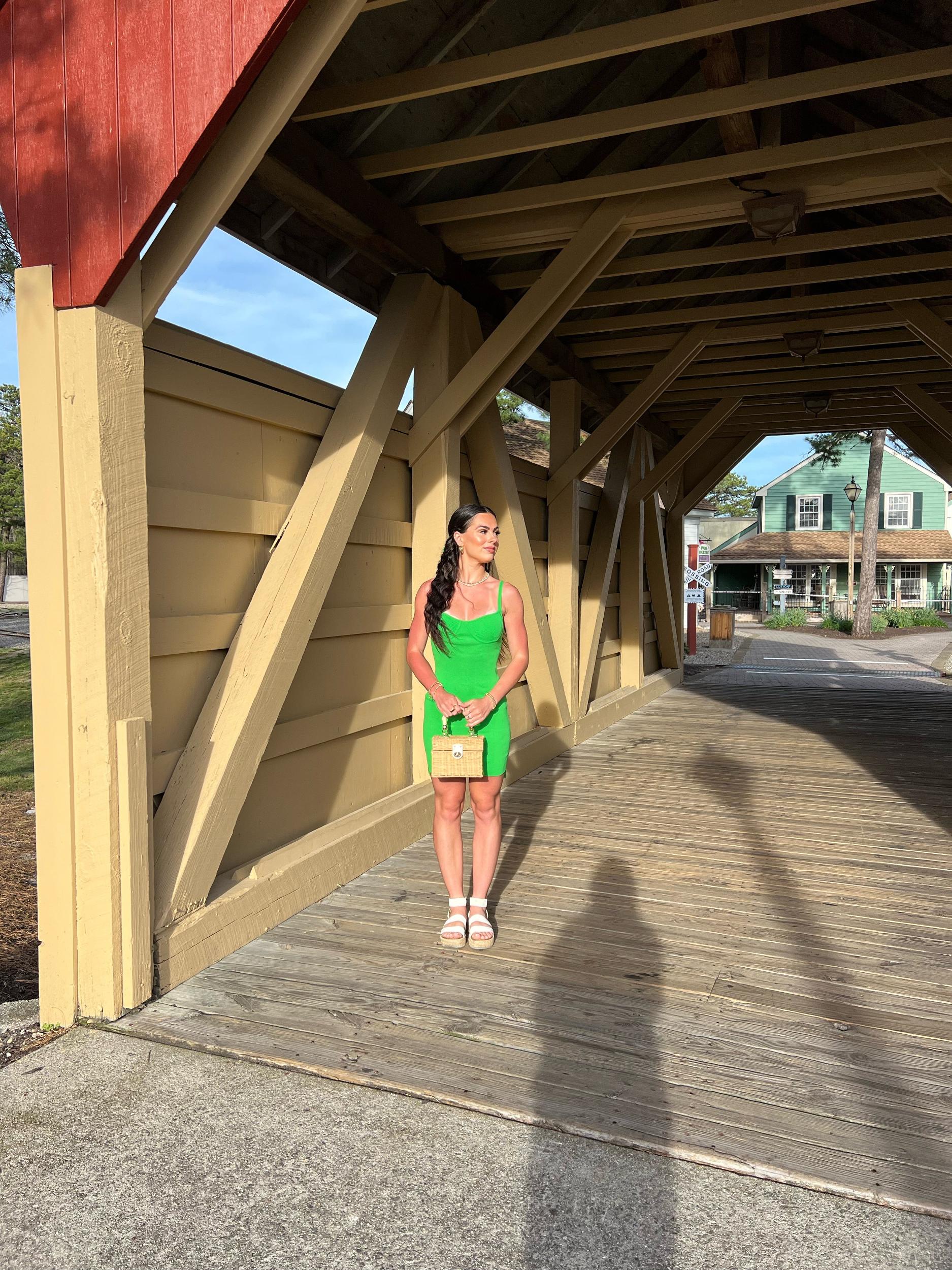 Essa Bodycon Mini Dress | FINAL SALE Product Image