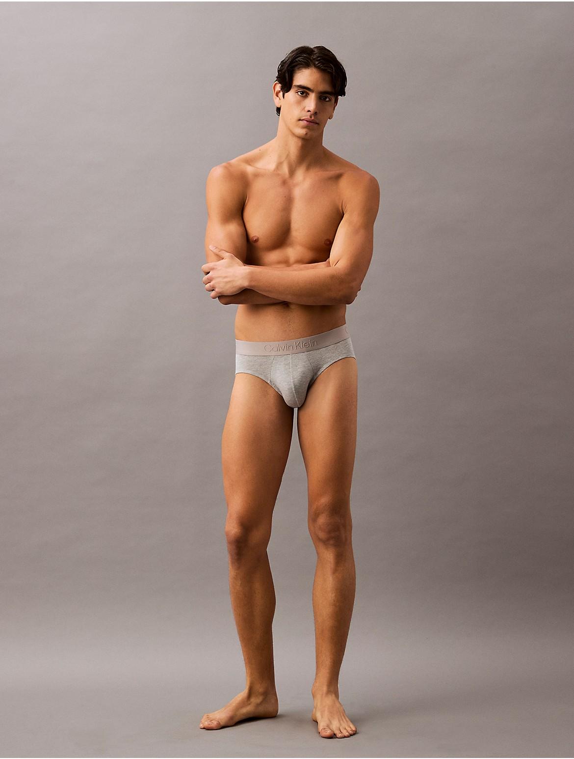 Calvin Klein Mens Ultra Soft Modal Hip Brief - Grey Product Image