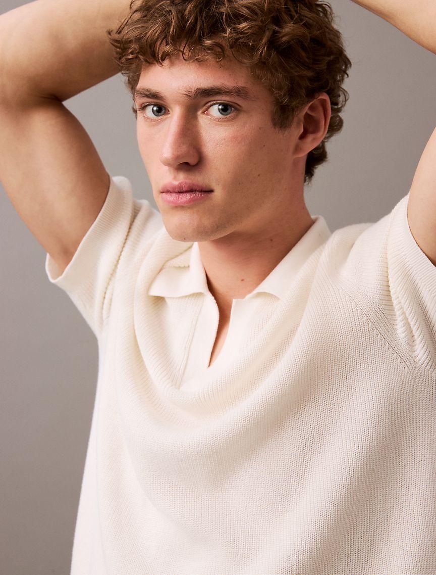 Textured Cotton Johnny Collar Polo Sweater Product Image