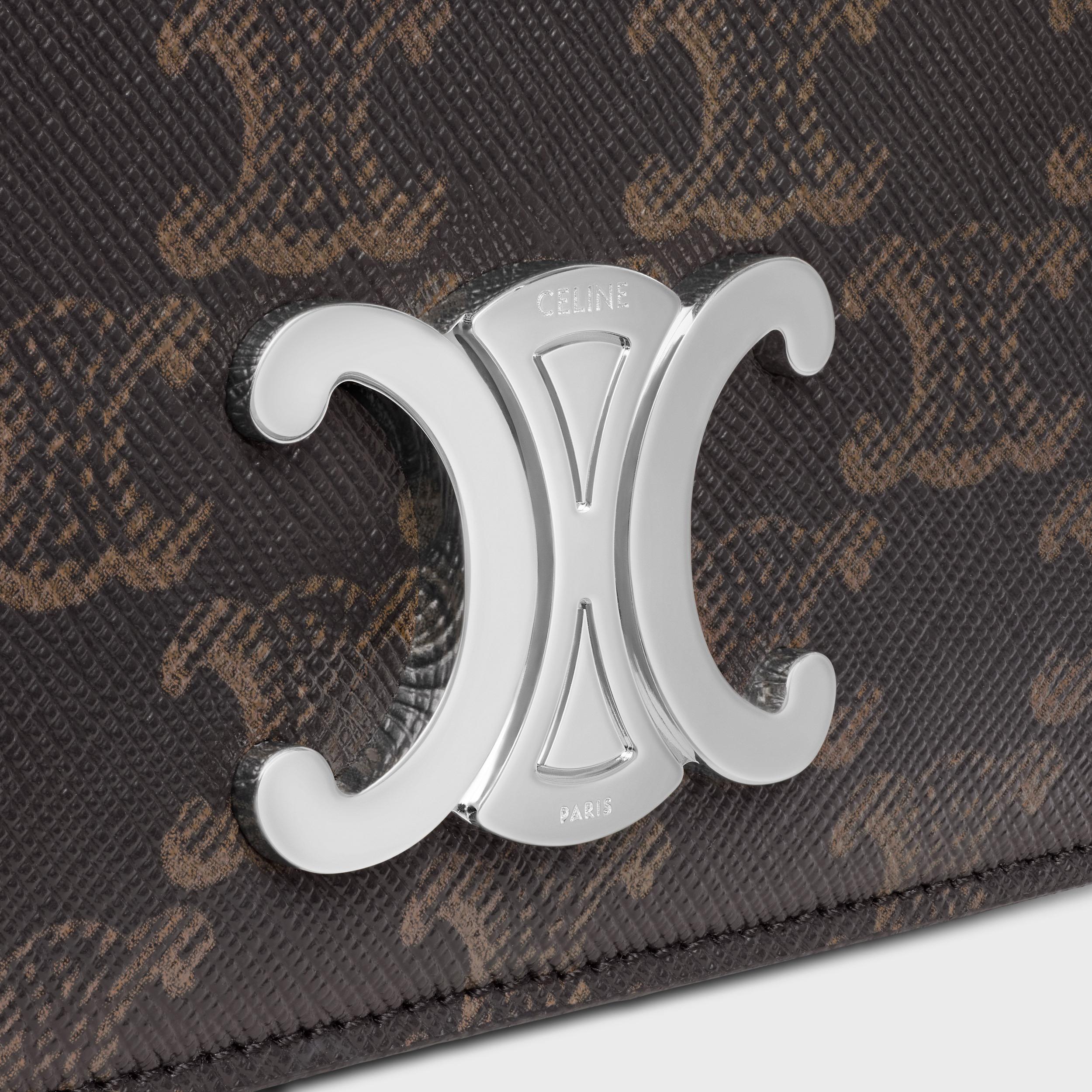 SMALL CROSSBODY BAG TRIOMPHE IN TRIOMPHE CANVAS AND CALFSKIN Product Image