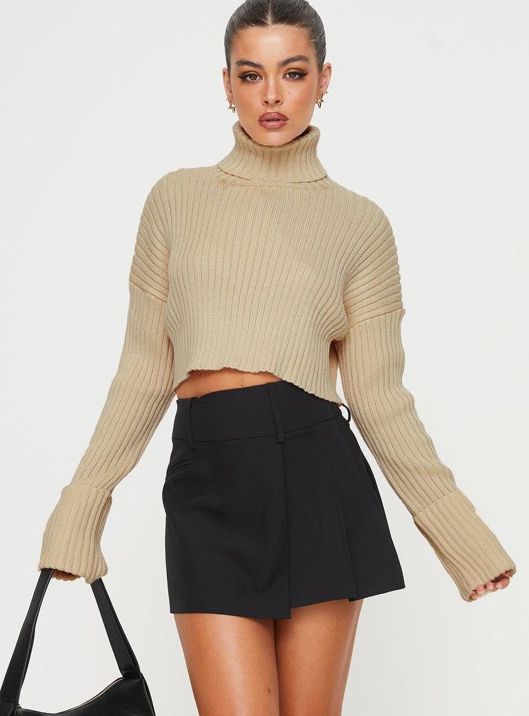 Kinzlee Mini Skirt Black Product Image