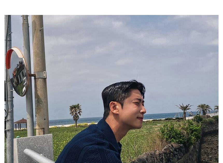 Short-Sleeve Collared Plain Perforated Knit Top Product Image