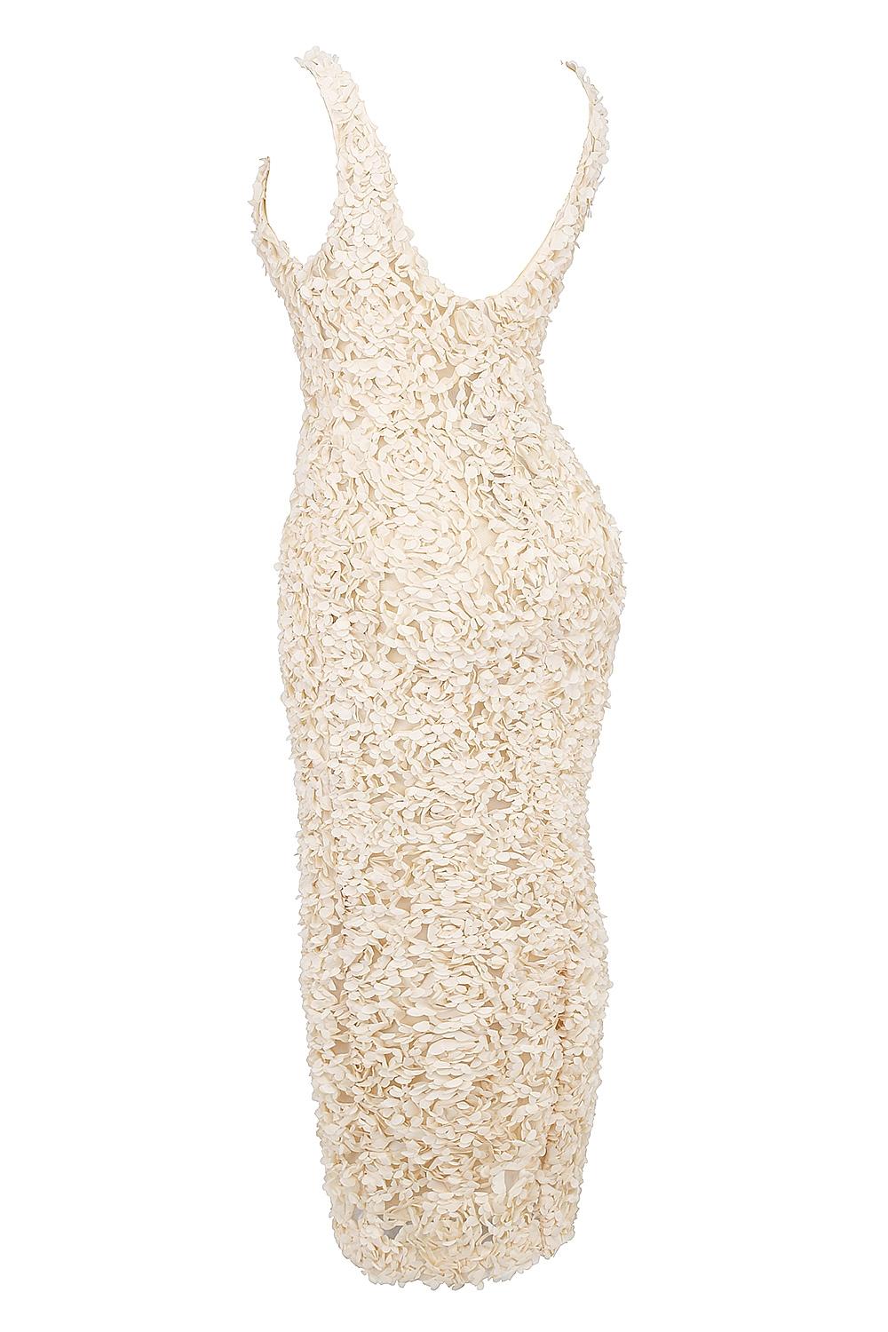 Carena  creme plunge floral appliqué maxi dress Product Image