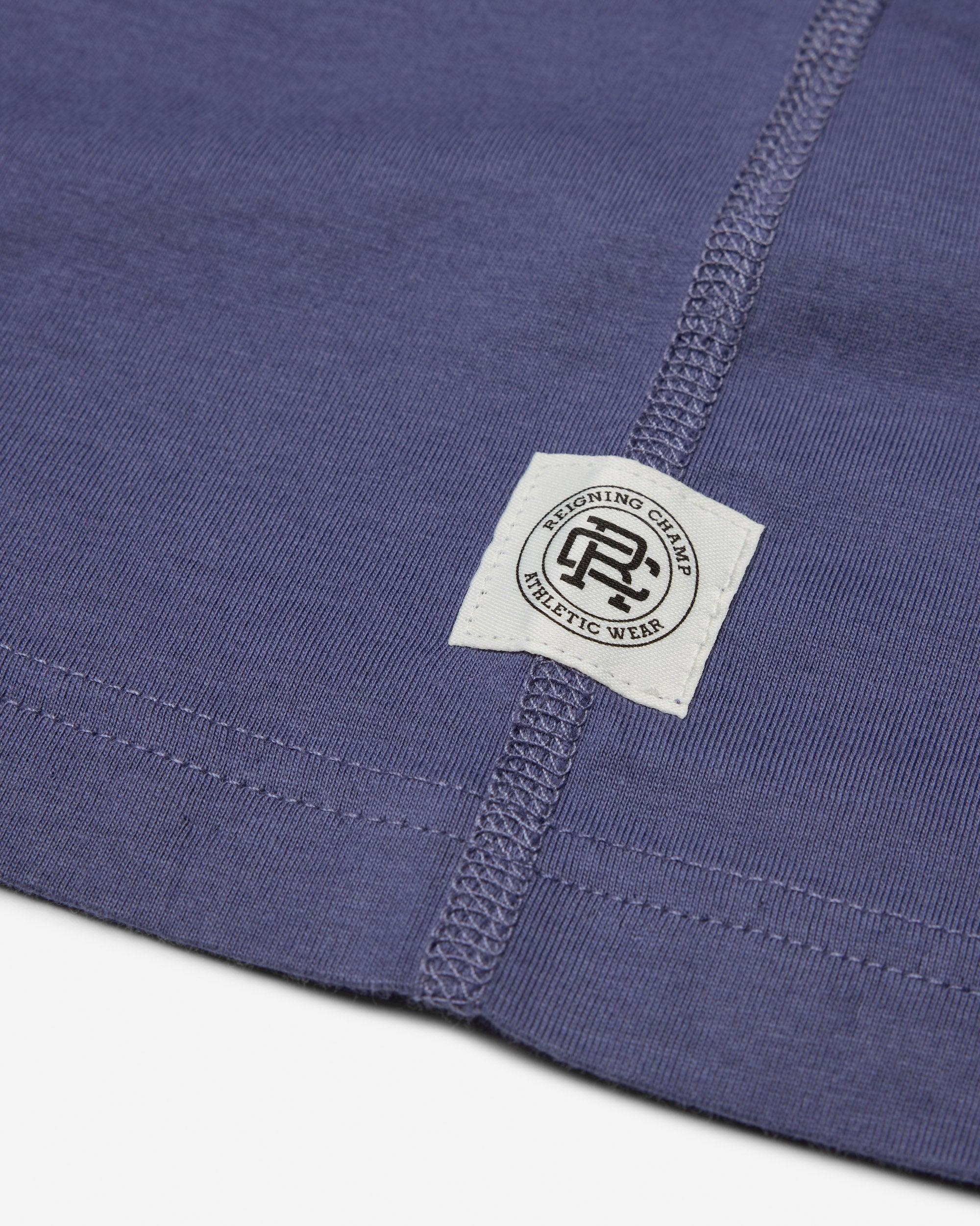 Lightweight Jersey Standard Raglan T-Shirt Male Product Image