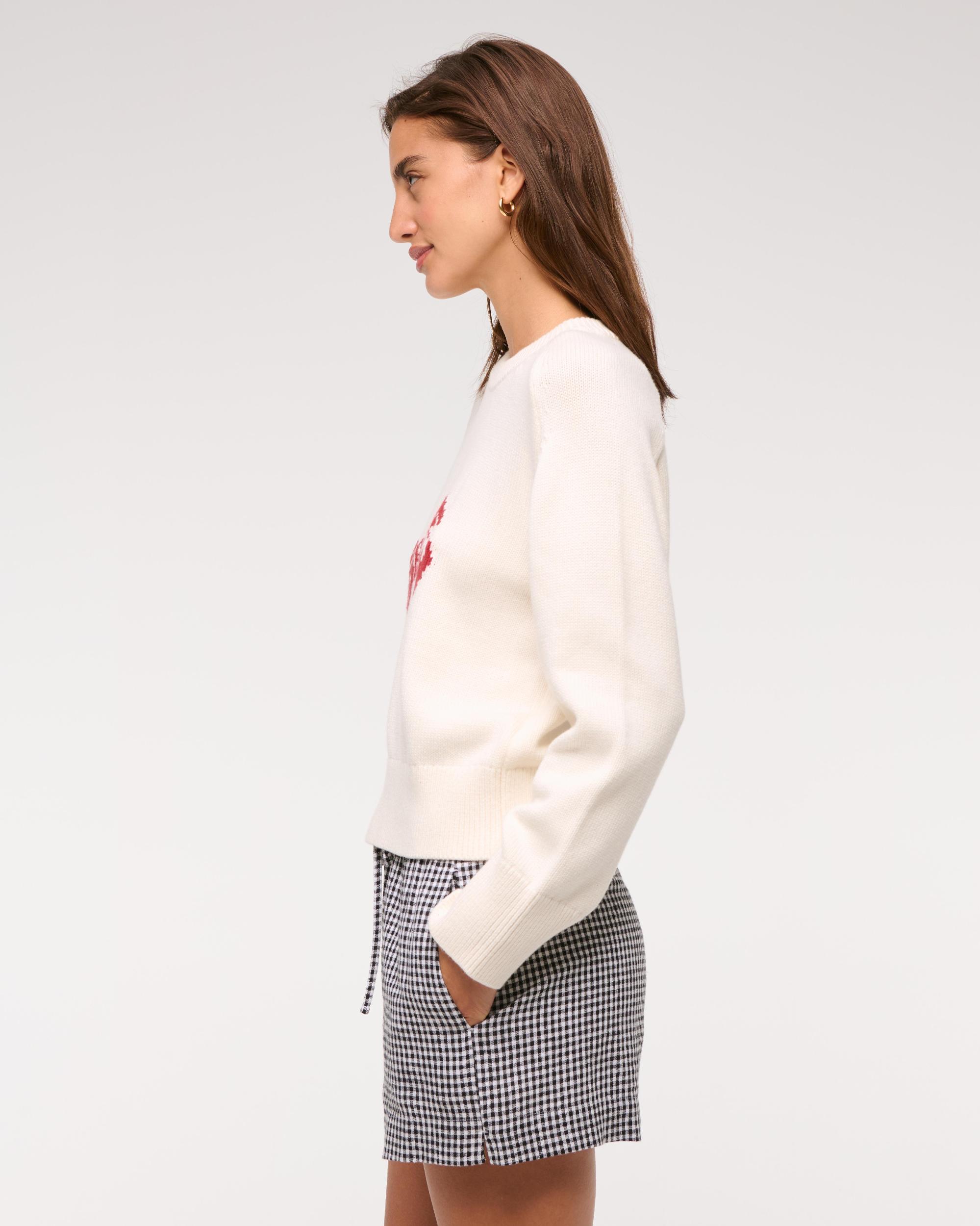 The A&F Madeline Crew Sweater Product Image