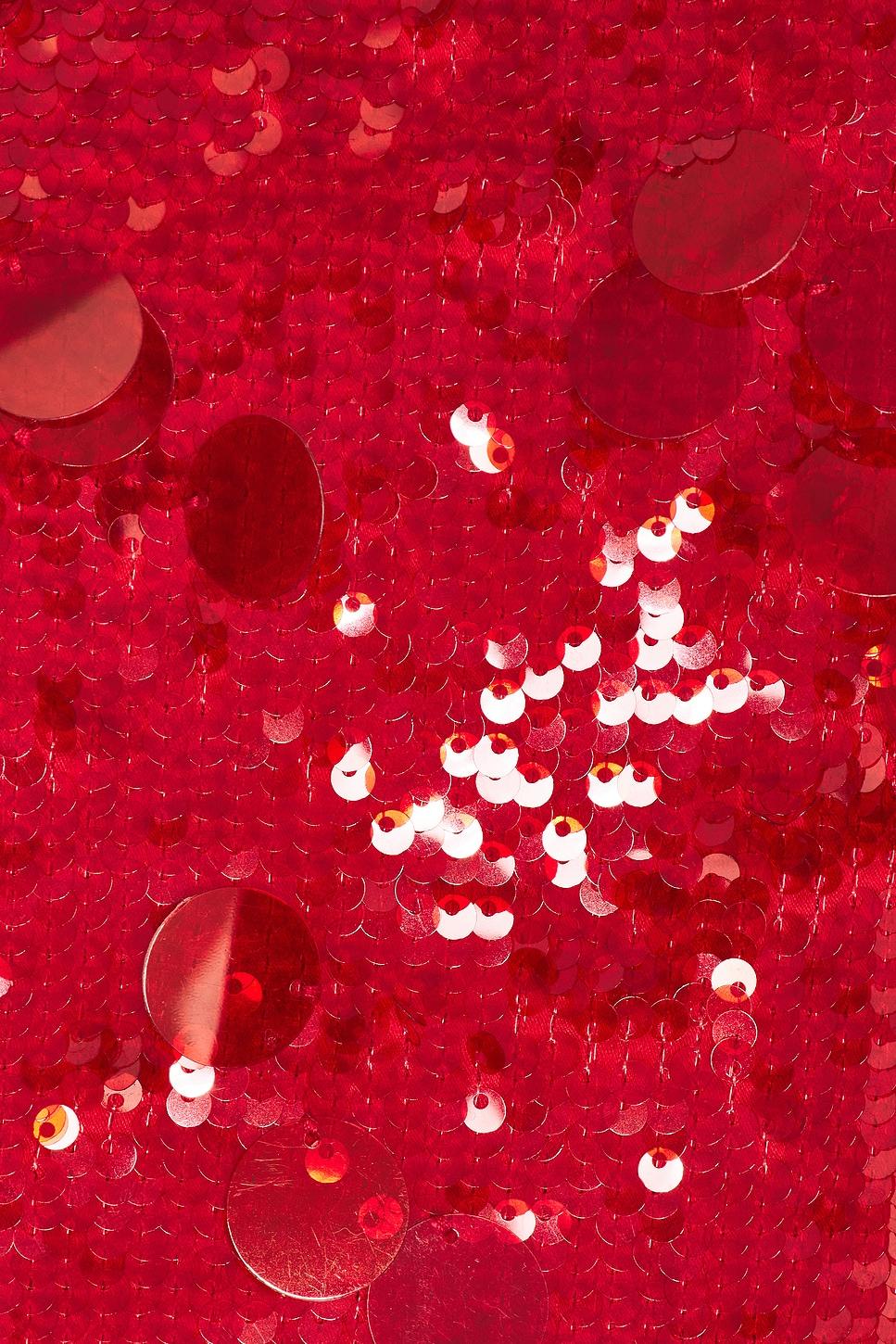 Paillette Cami GUIZIO Product Image