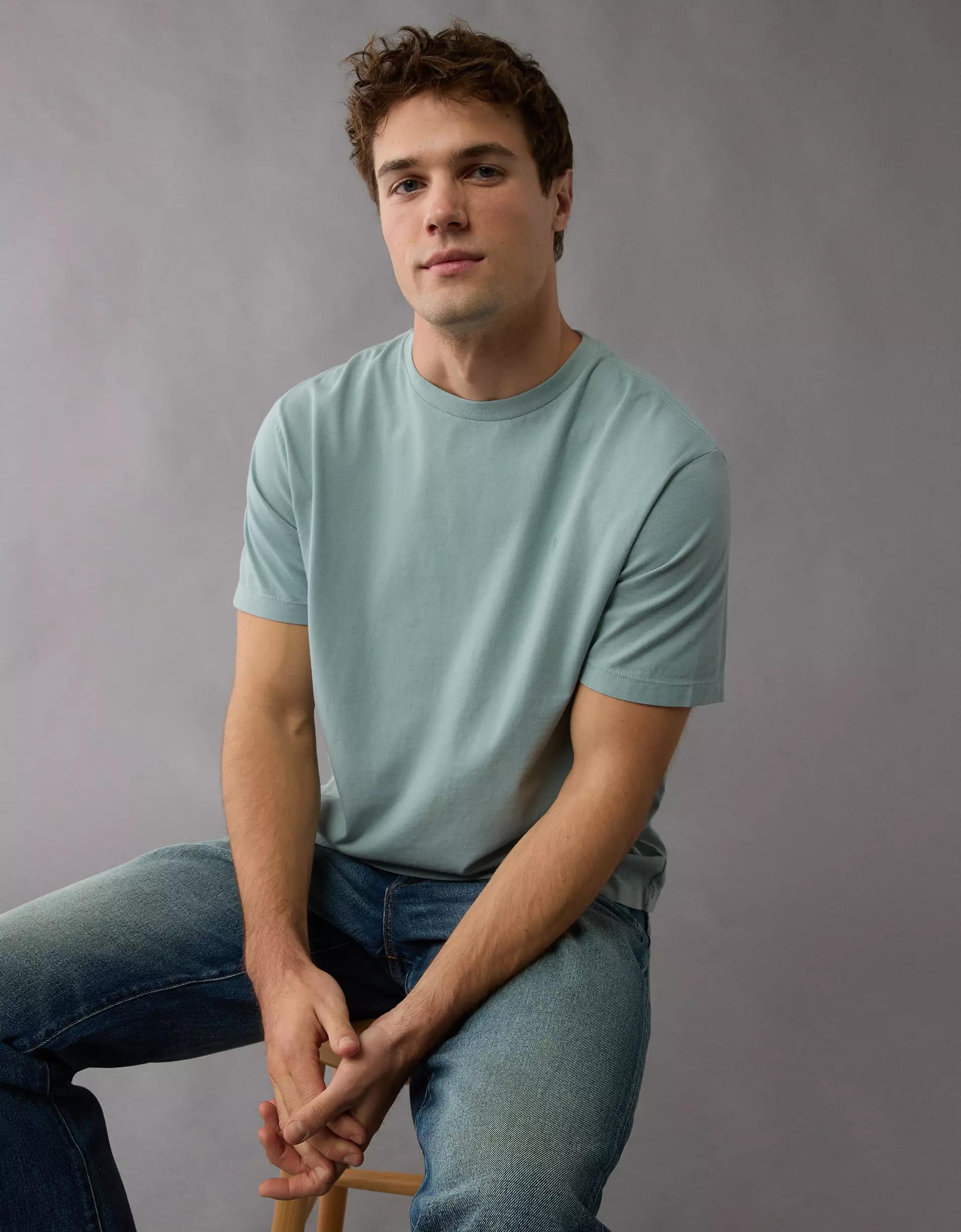 AE Logo Lived-In T-Shirt Product Image