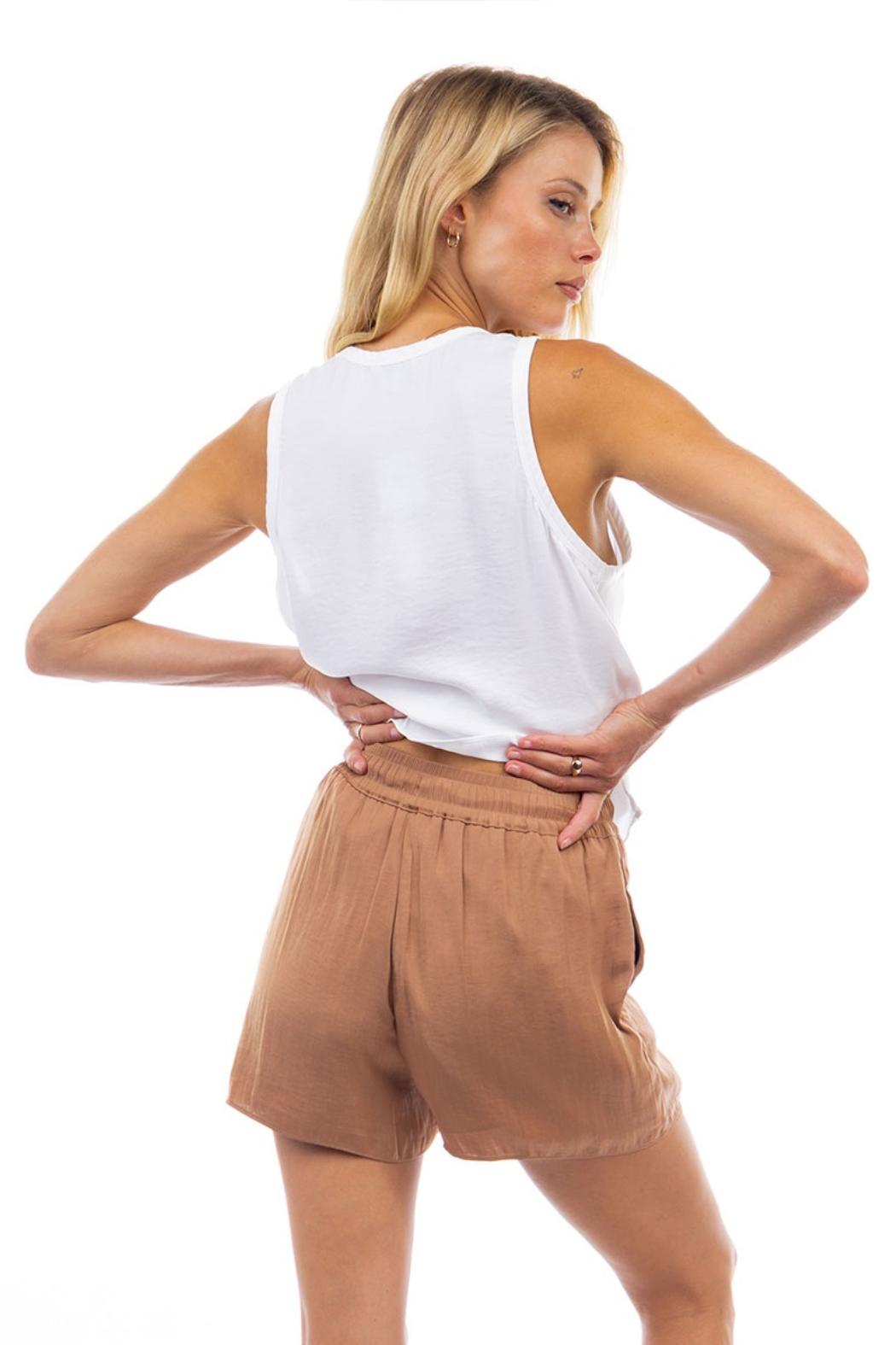 Elastic Waist Satin Shorts Product Image