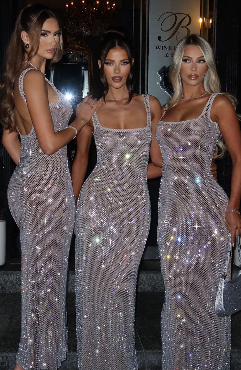 Petra Maxi Dress - Silver Product Image