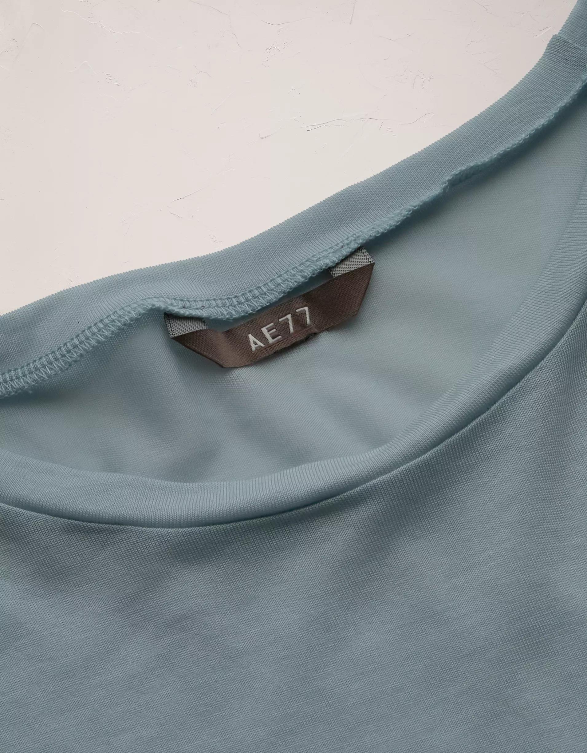 AE77 Premium Sheer T-Shirt Product Image