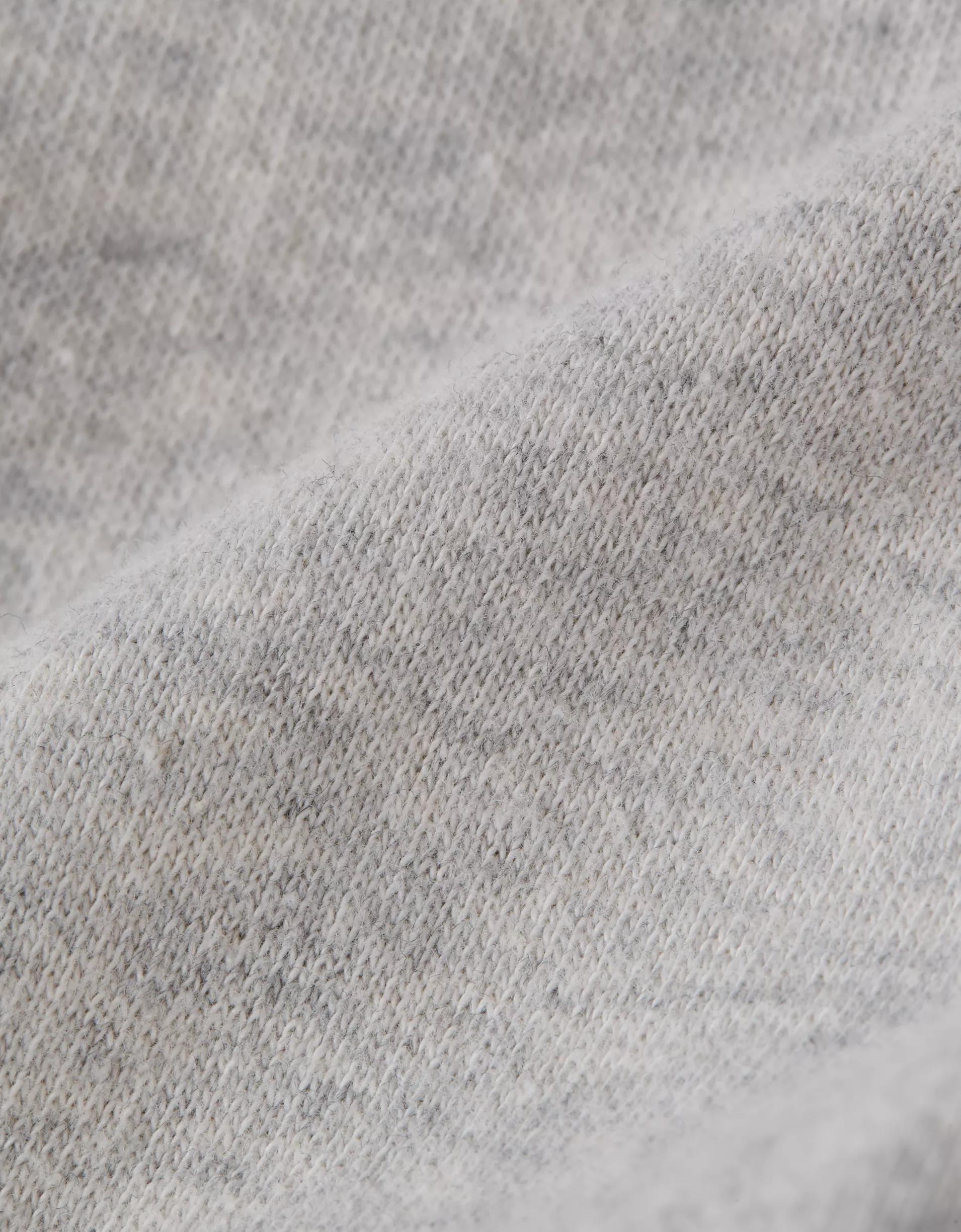 AE Pride Hoodie Product Image