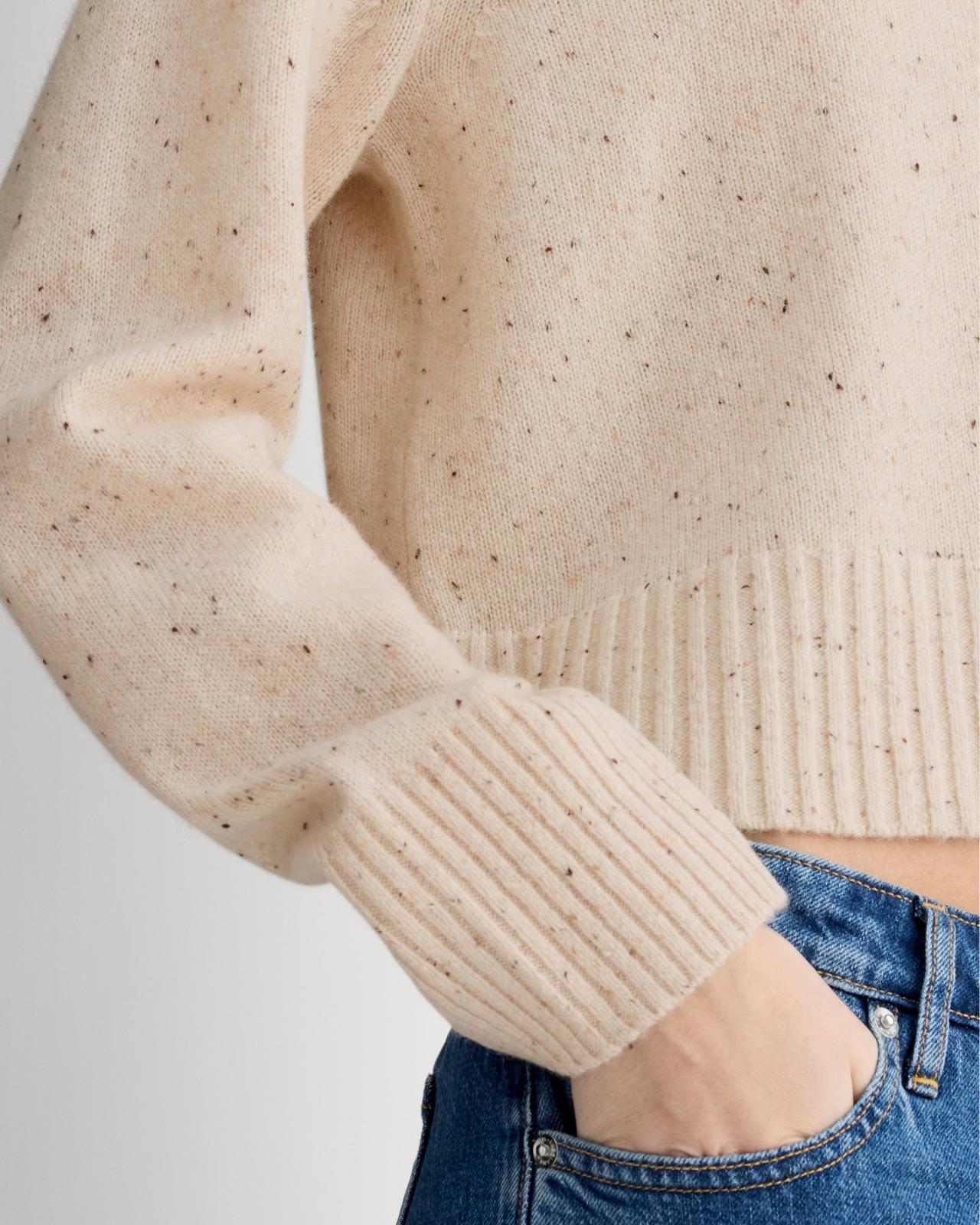 Womens Boxy Crew in Cashmere Sweater by Everlane Product Image