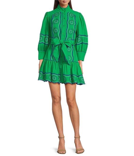 tyler boe Christy Embroidered Funnel Collar 3/4 Sleeve Drop Waist Button Front Dress Product Image