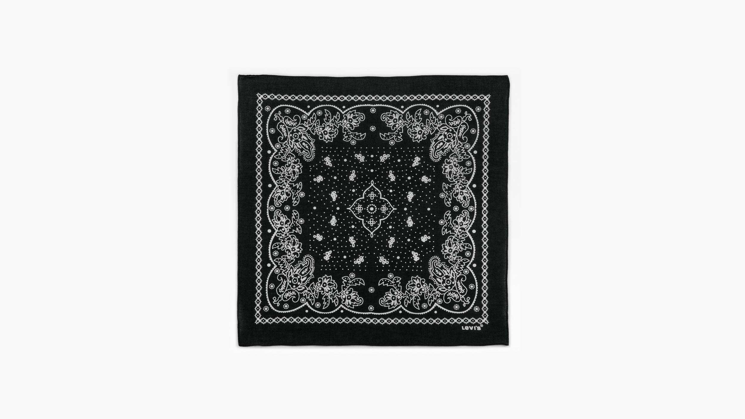 Paisley Bandana Product Image