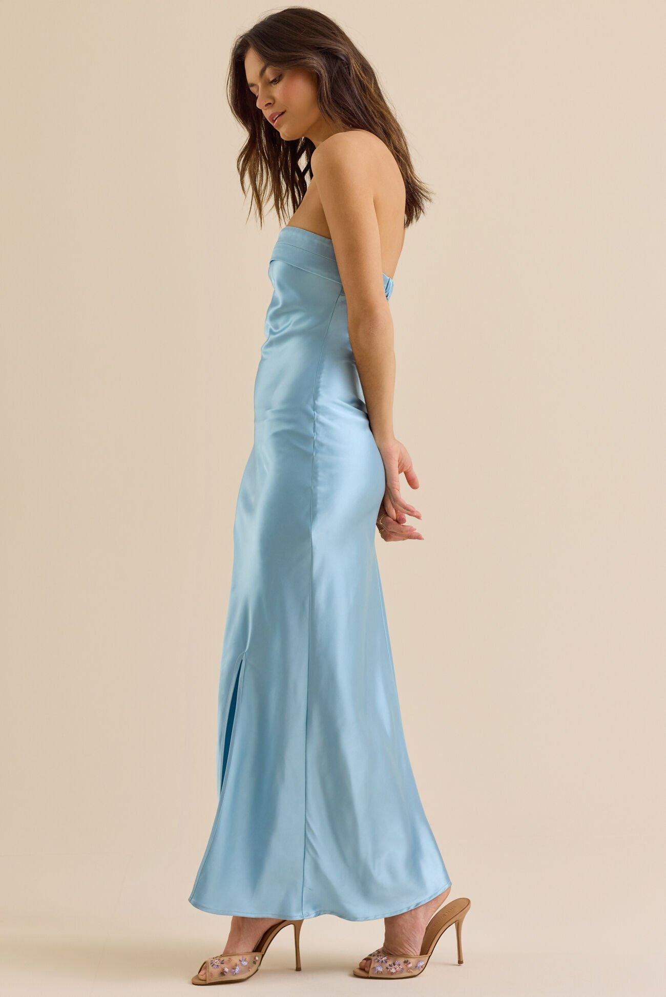 Paityn Strapless Maxi Dress Product Image