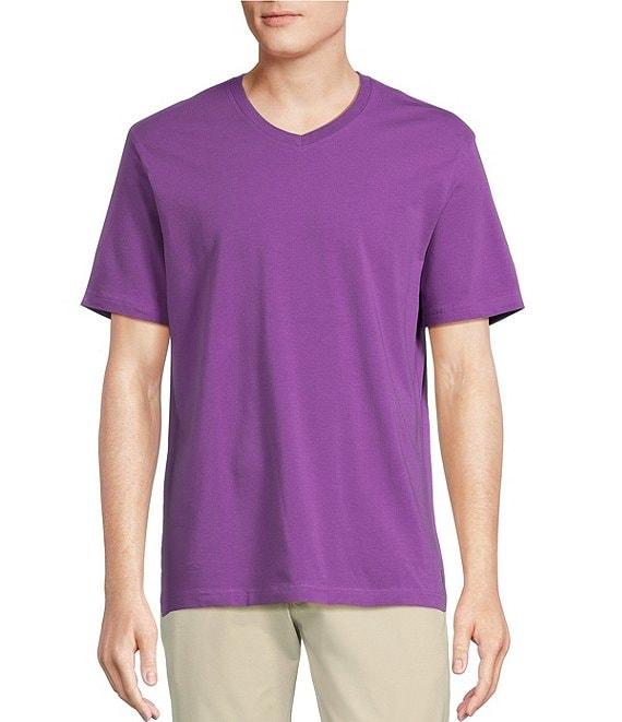 Cremieux Blue Label Jersey Knit Short Sleeve V-Neck T-Shirt Product Image