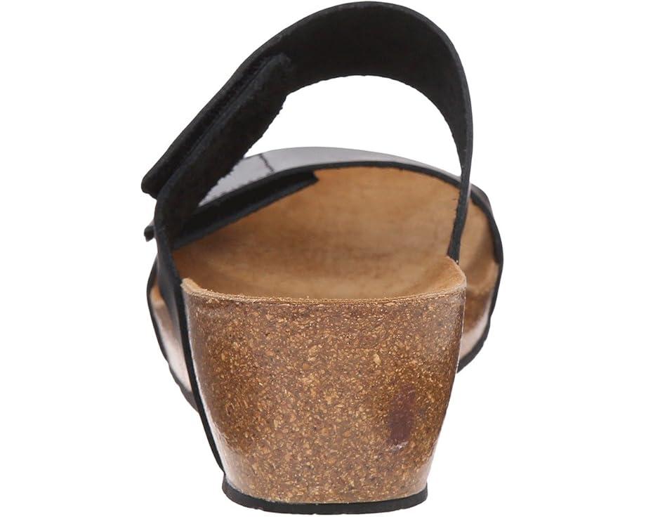 Lily 2 Product Image