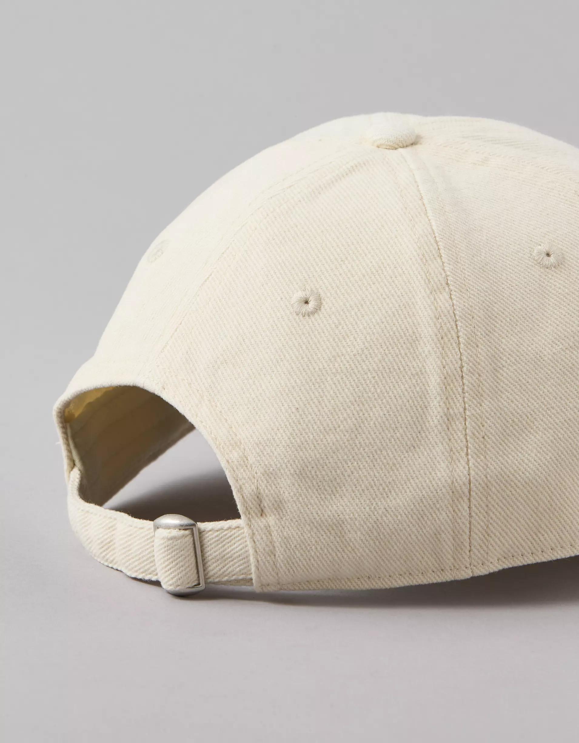 AE Pride Baseball Hat Product Image