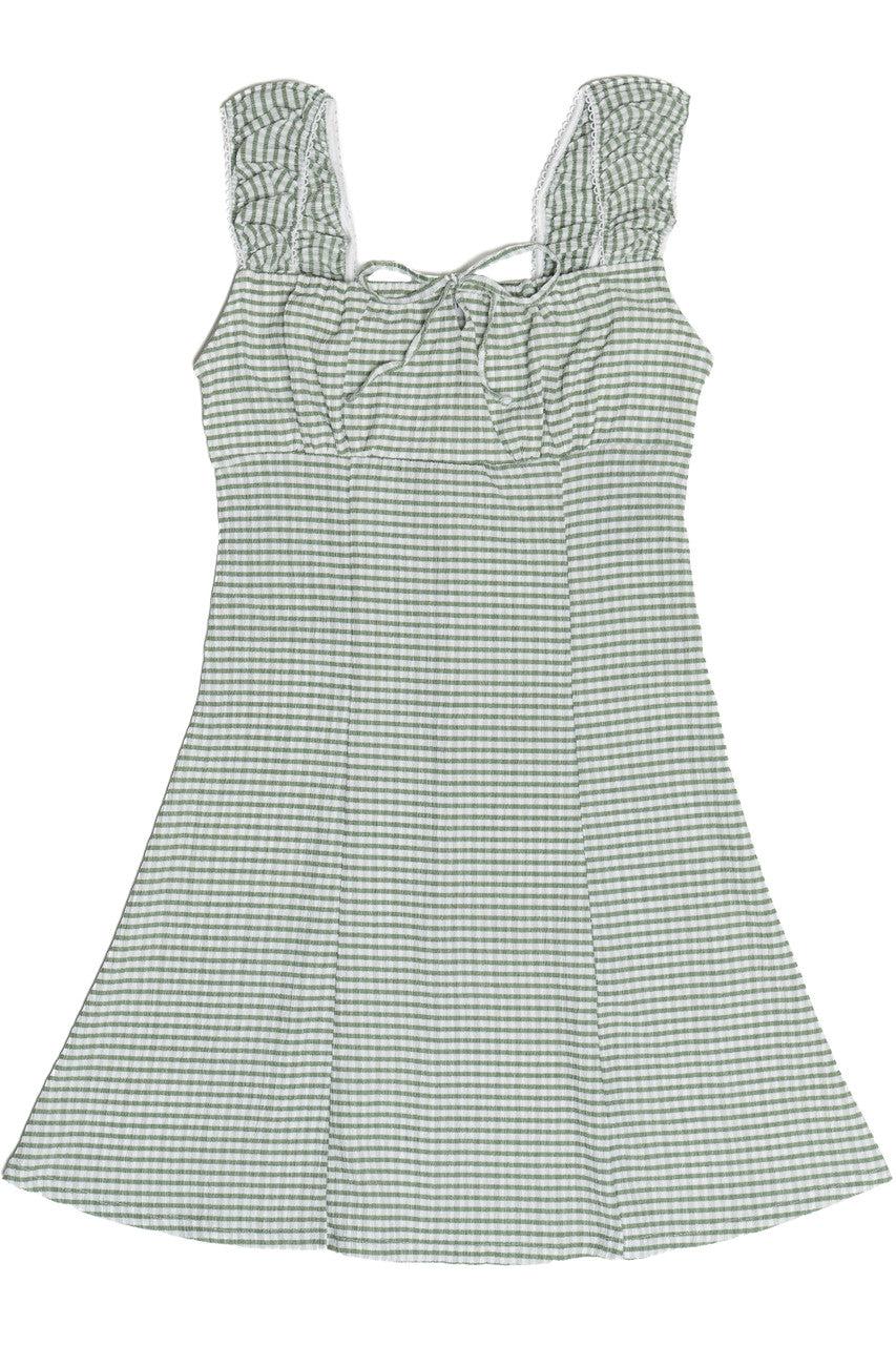 Gingham Fit & Flare Mini Dress Product Image