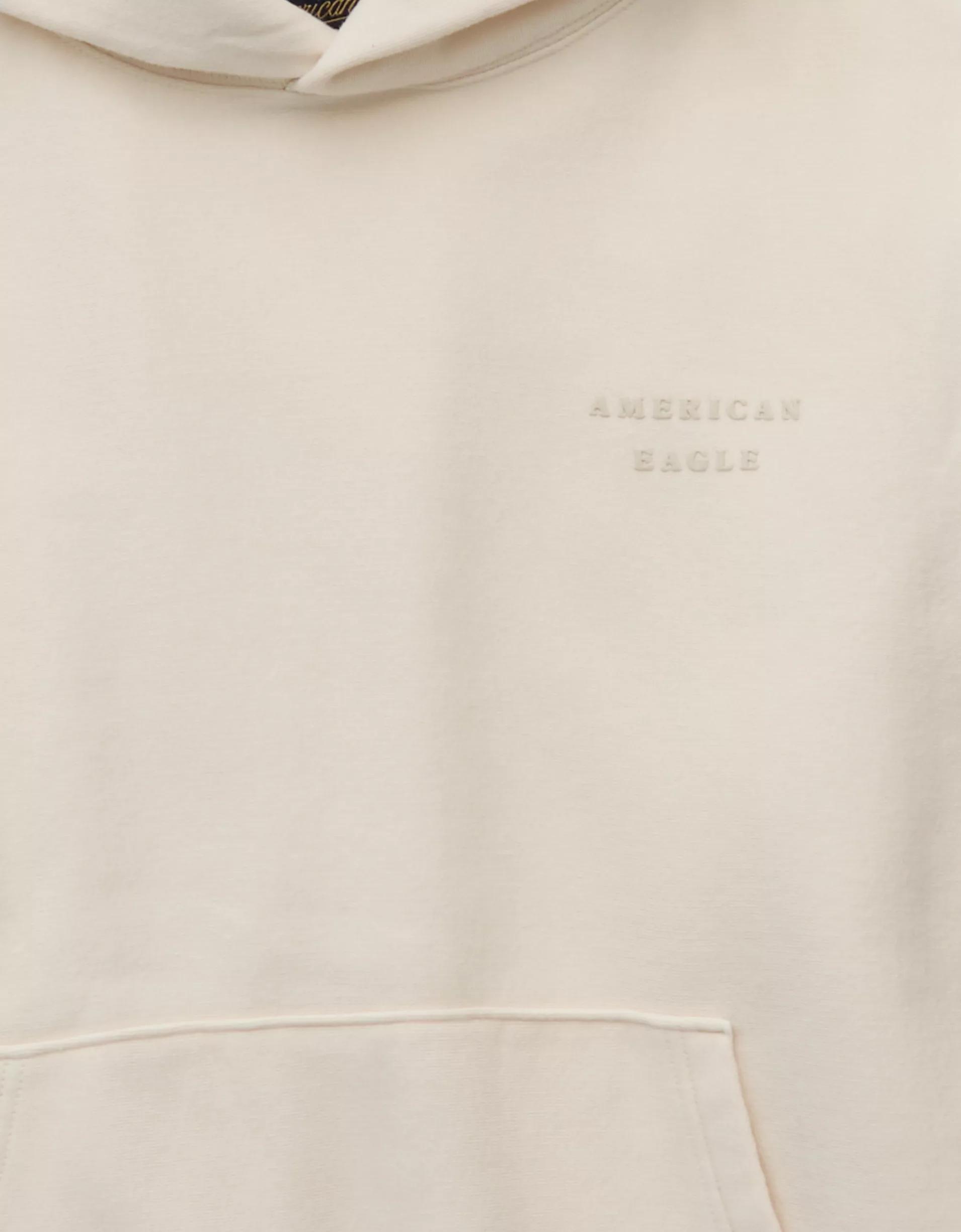 AE Laidback Luxe Heavyweight Graphic Hoodie Product Image