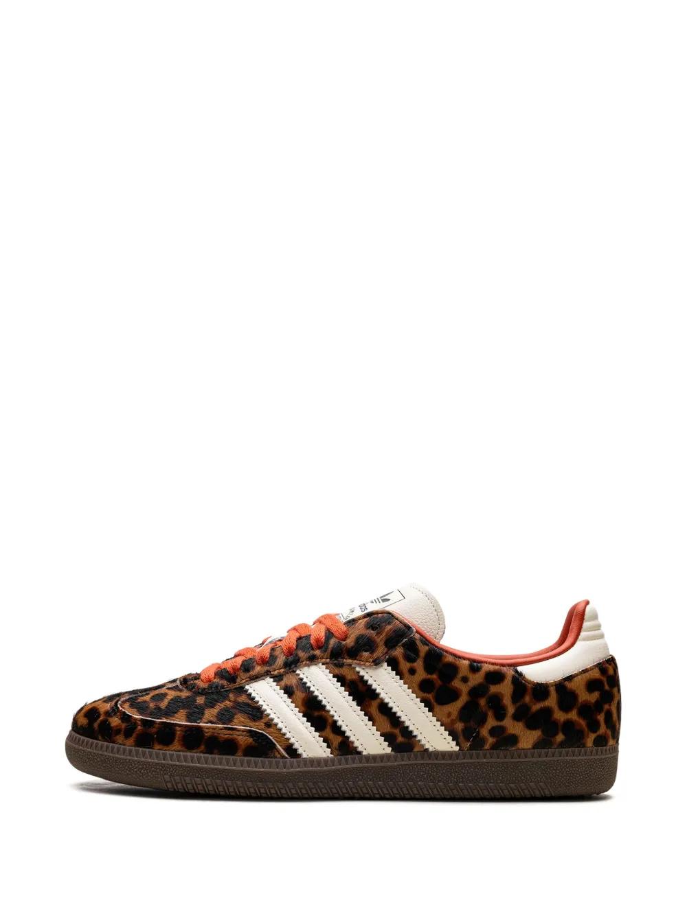 Gazelle Indoor sneakers Product Image