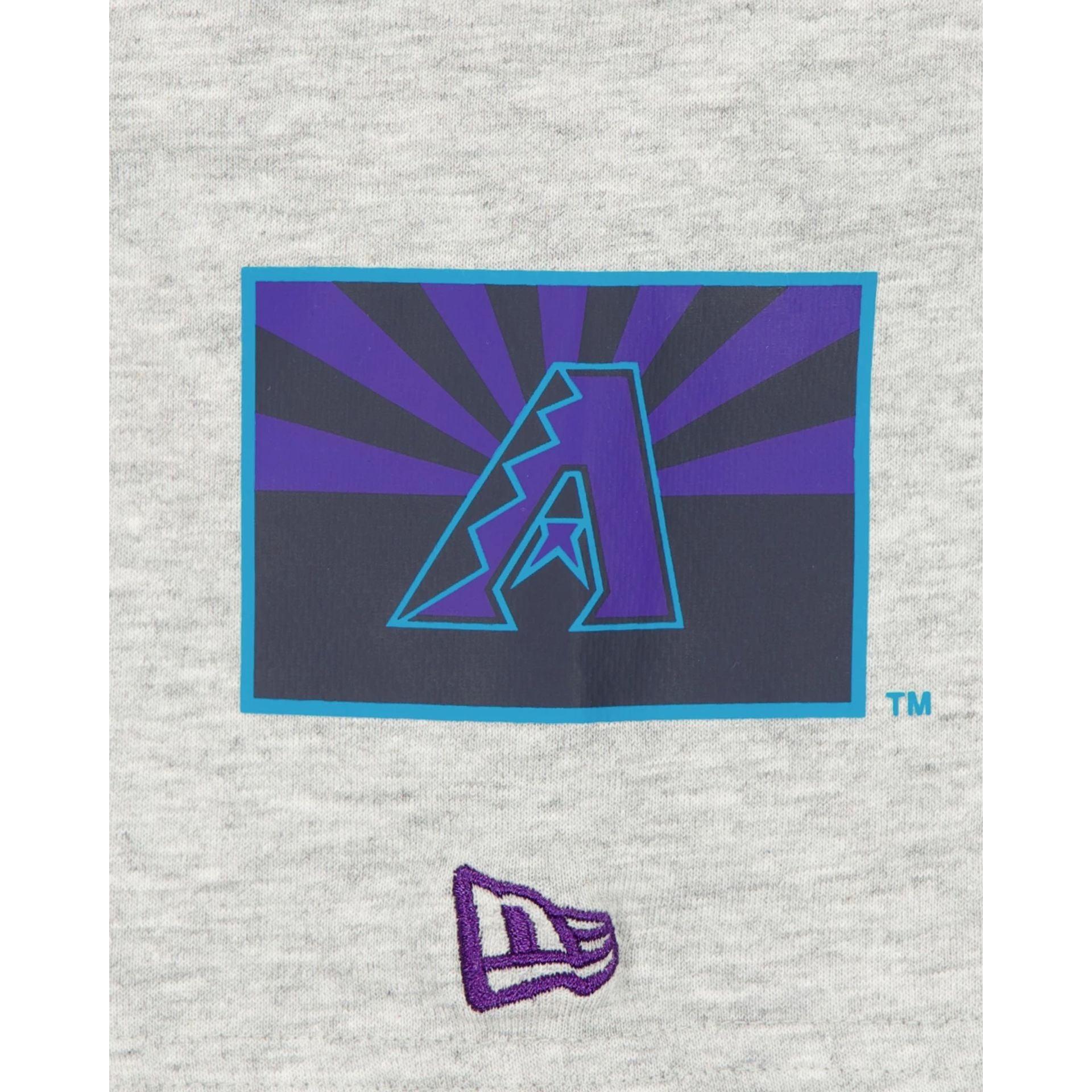 Boston Red Sox City Connect Gray T-Shirt Male Product Image