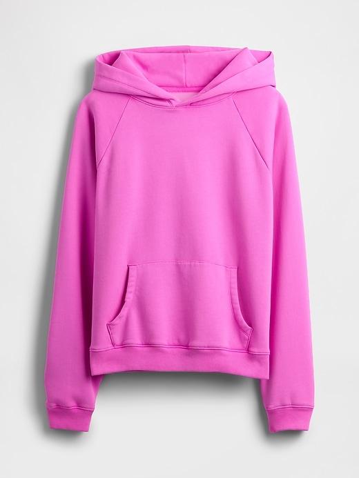 VintageSoft Hoodie Product Image