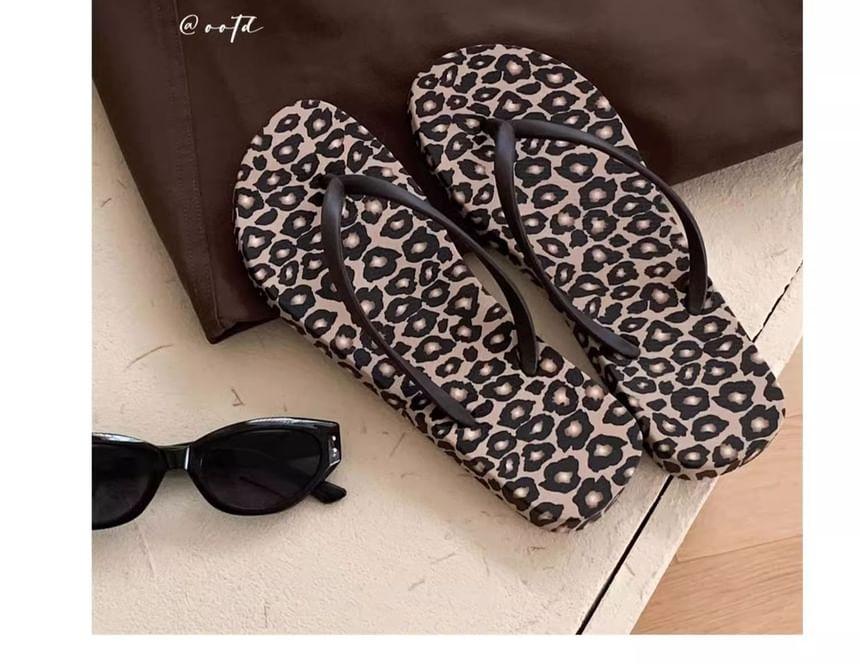 Leopard Print Flip-Flops Product Image