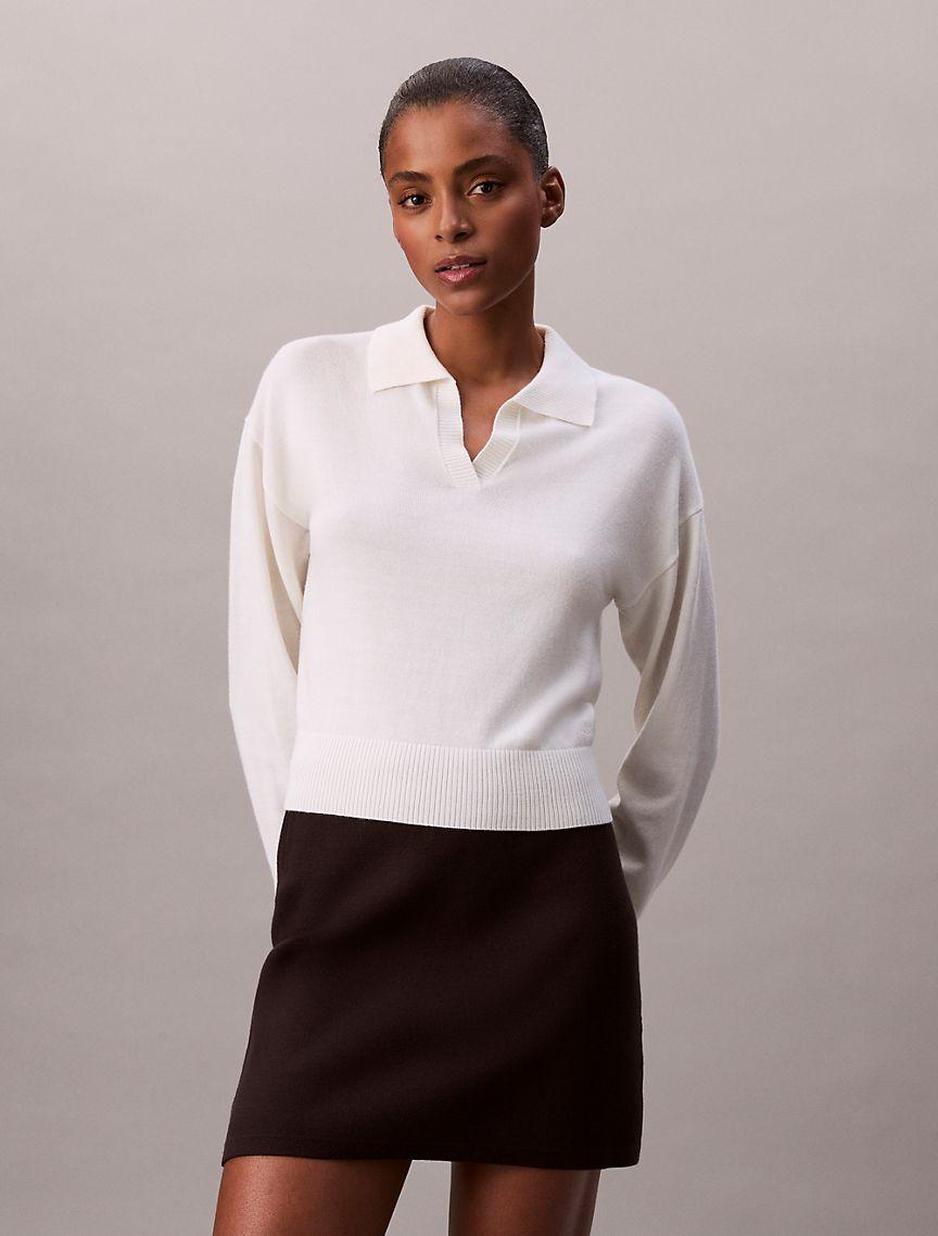 Merino Wool Blend Relaxed Polo Sweater Product Image