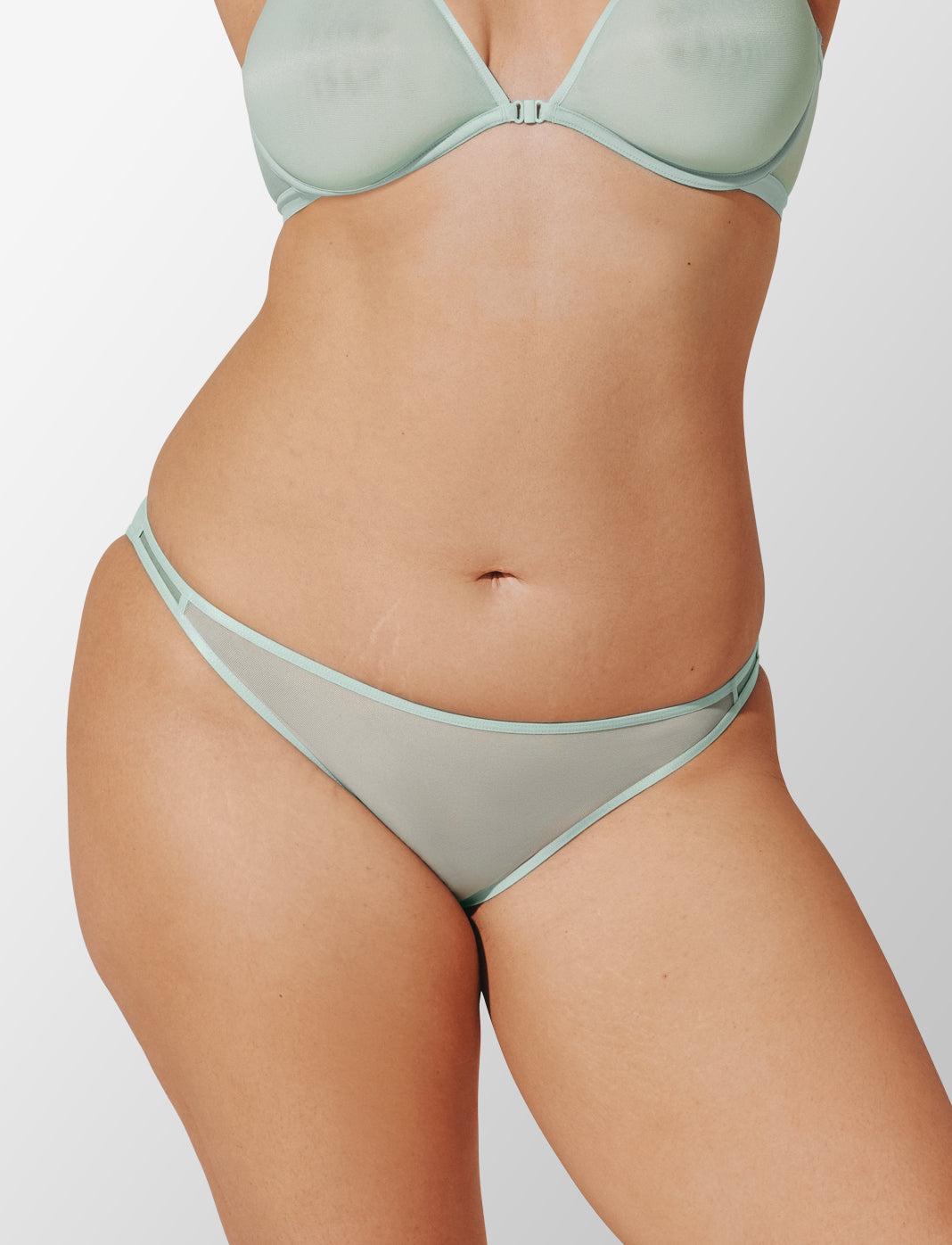Bare Mesh Bikini Product Image