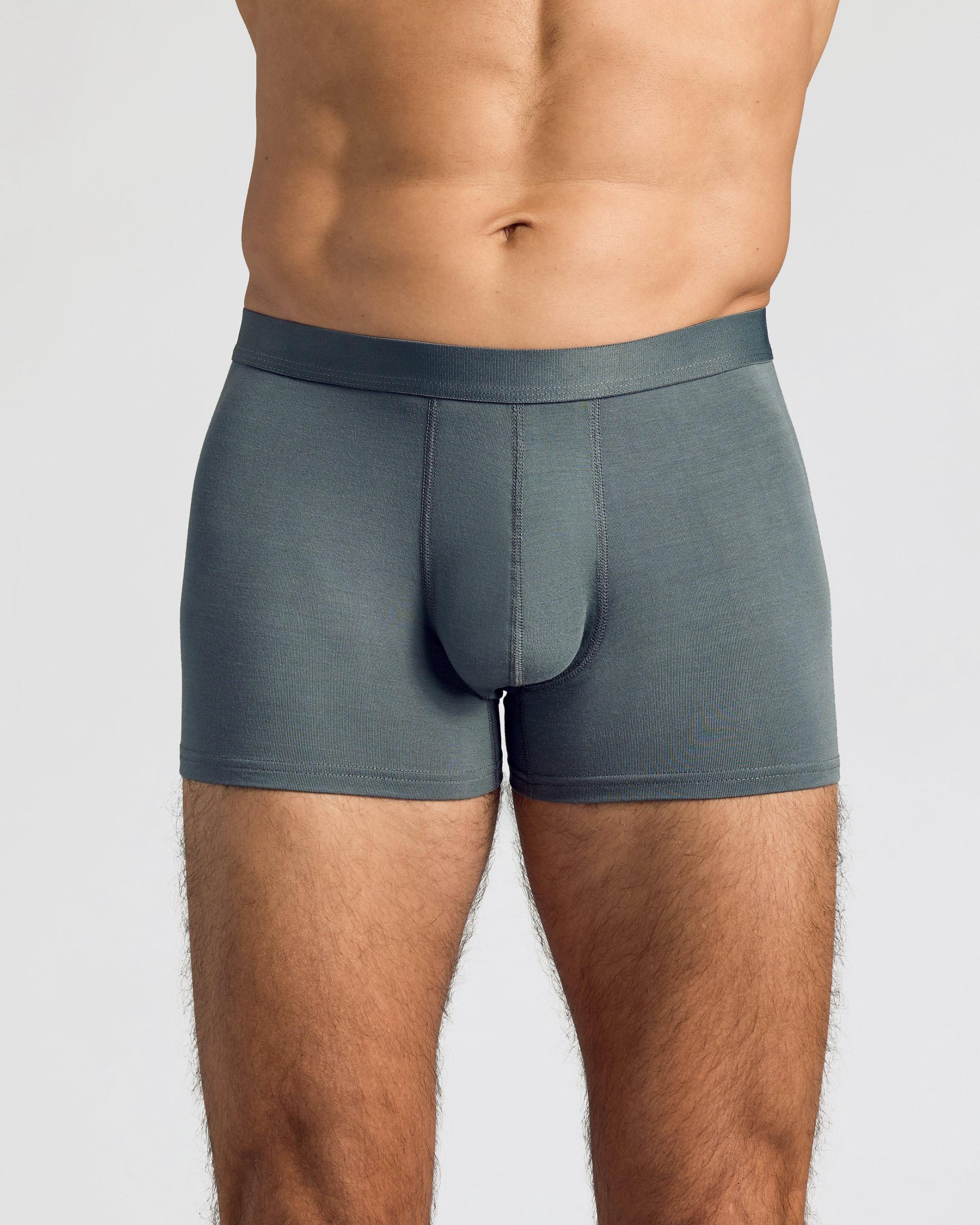 Carbon Boxer Trunks 3-Pack Product Image