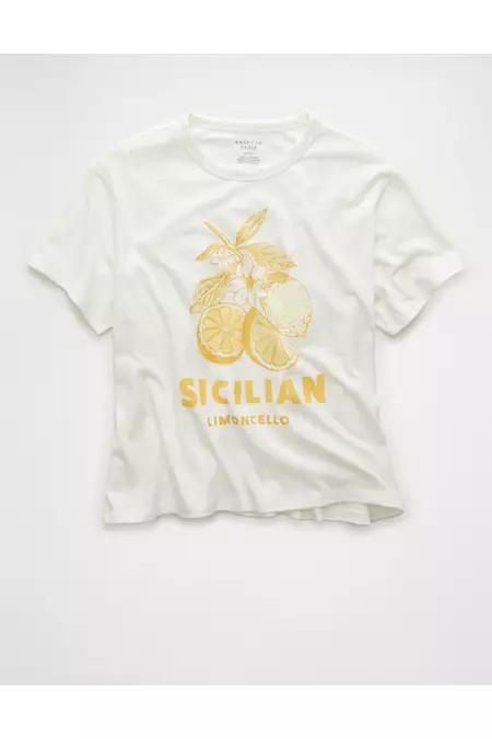 AE Ex-Boyfriend Destination Graphic T-Shirt Women's Product Image