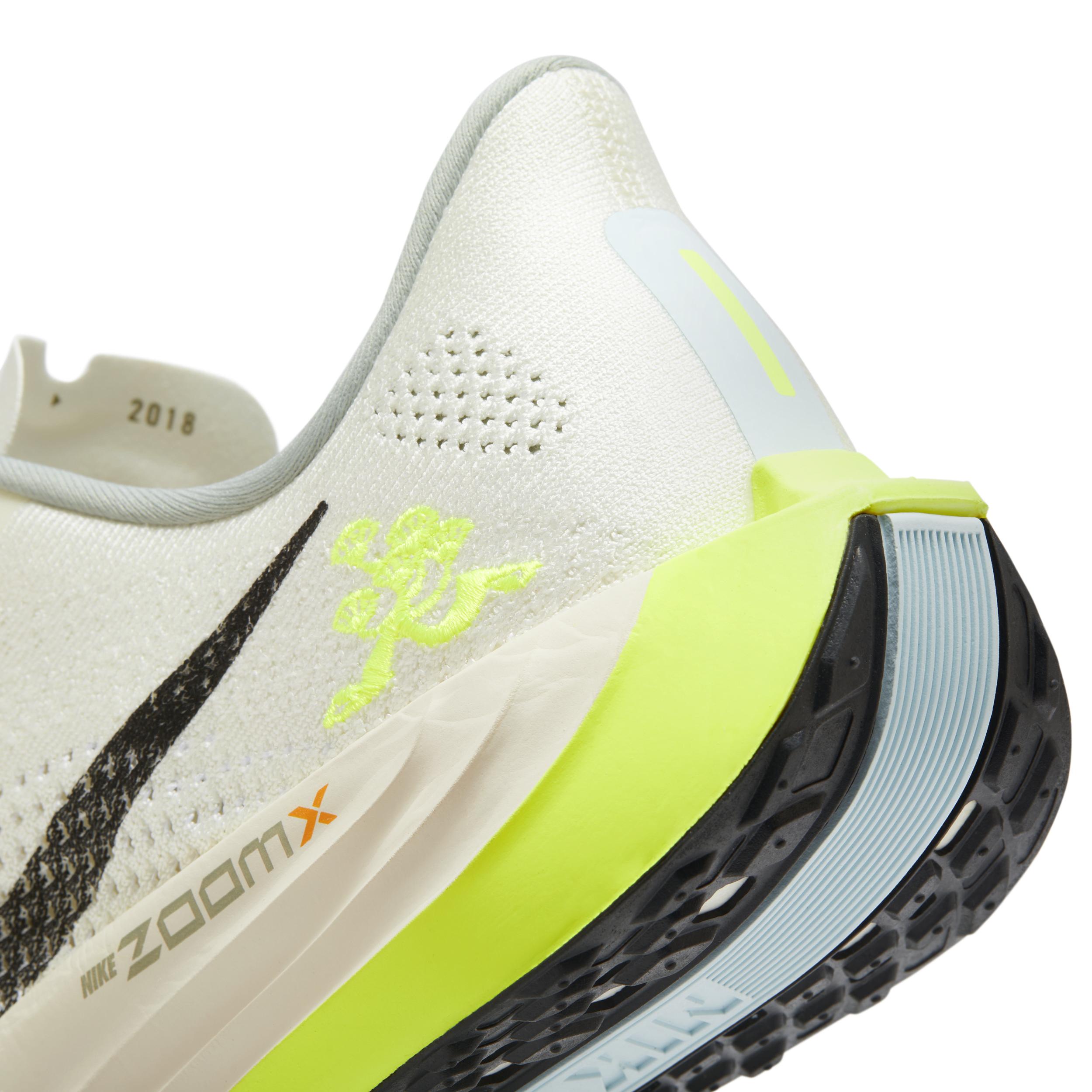 Nike Pegasus Plus Men's Road Running Shoes Product Image